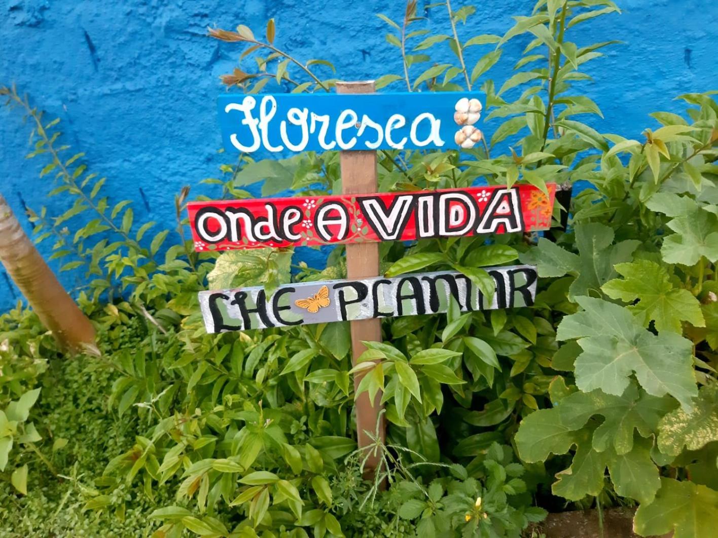 Casa beira mar com piscina Coruripe Povoado Miai de cima