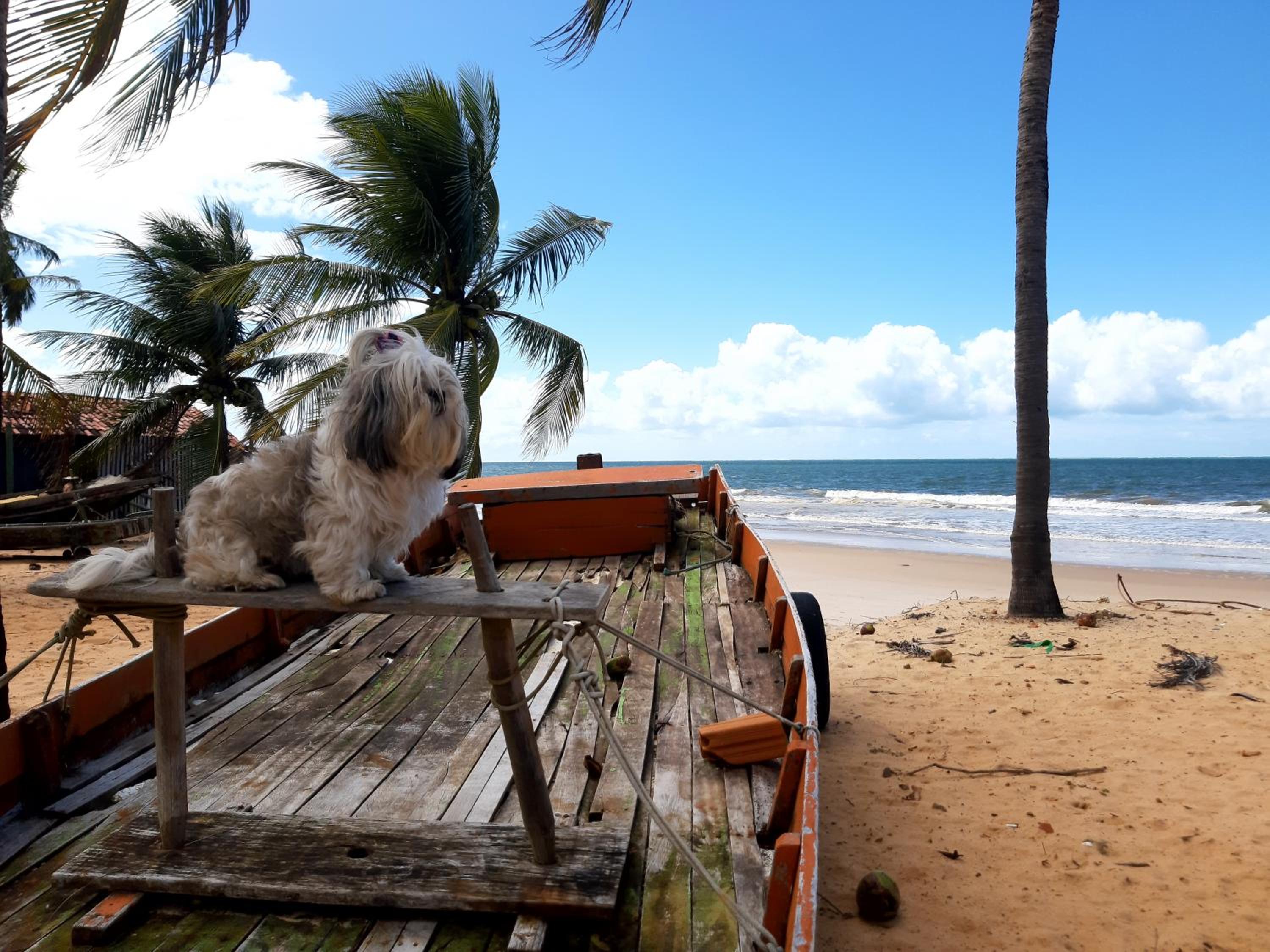 Casa beira mar com piscina Coruripe Povoado Miai de cima