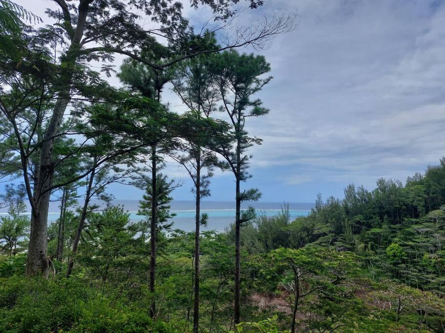 Petite Maison Premium vue mer view 5