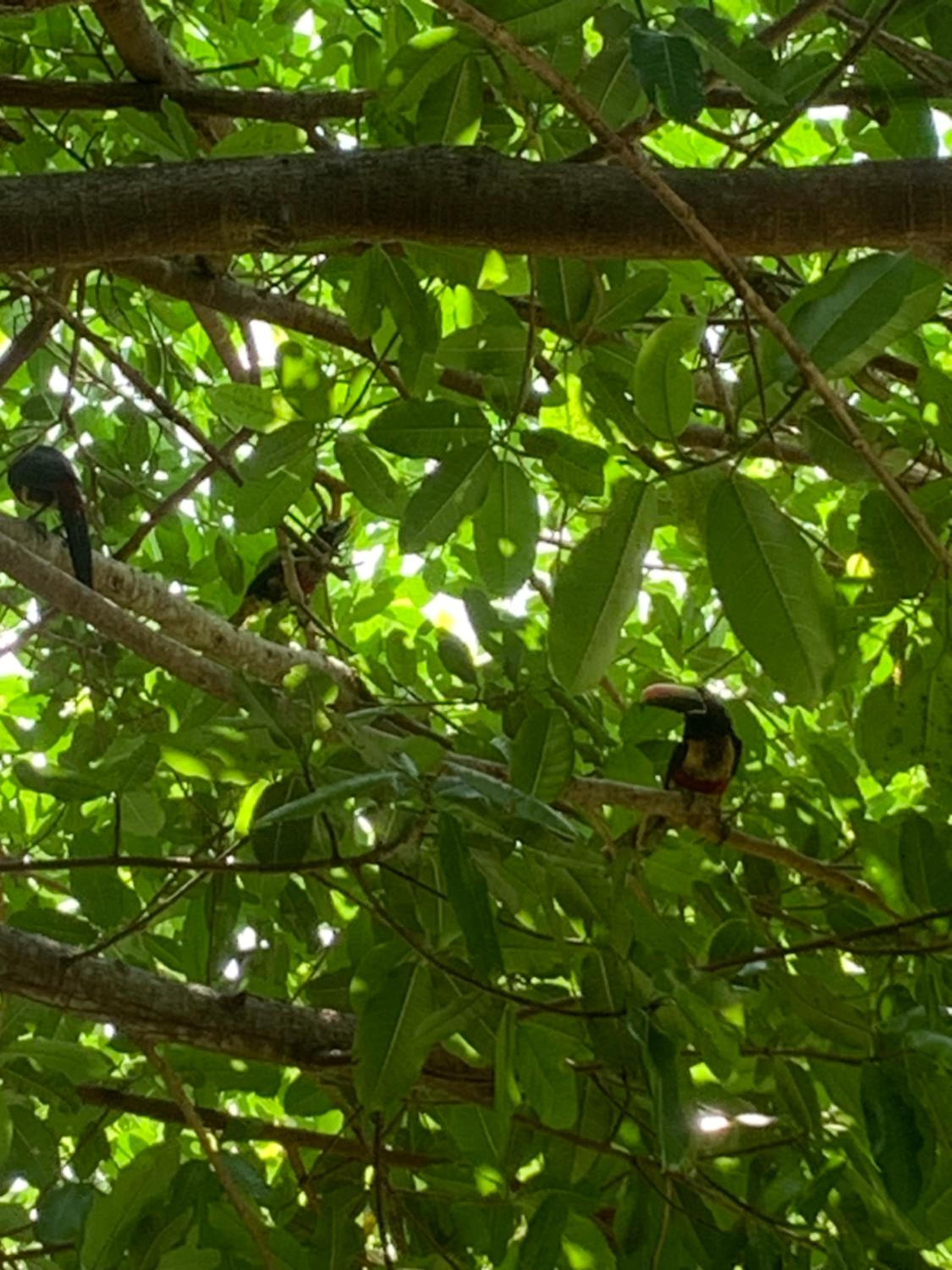 Conectar con la naturaleza