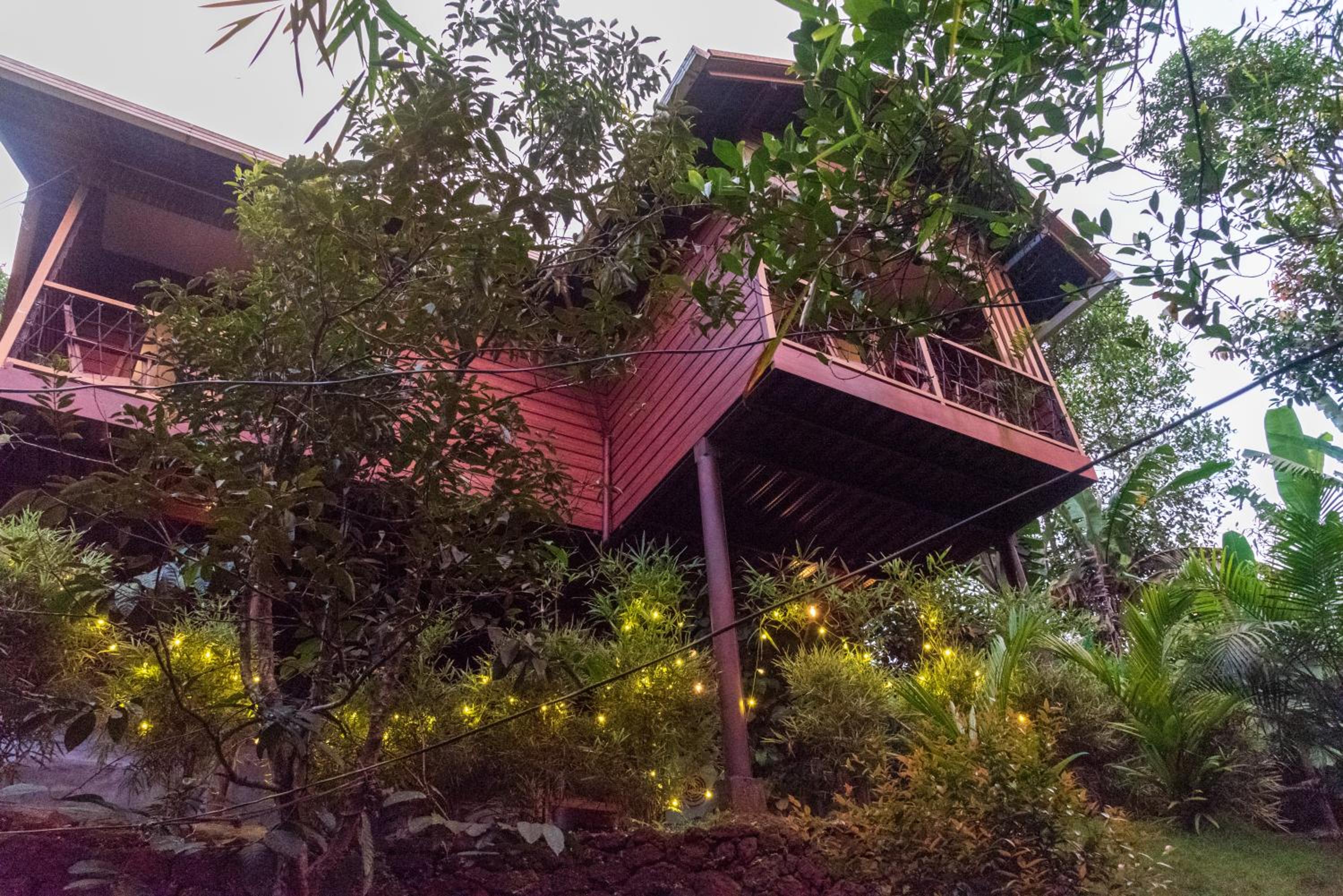 treevillawayanad