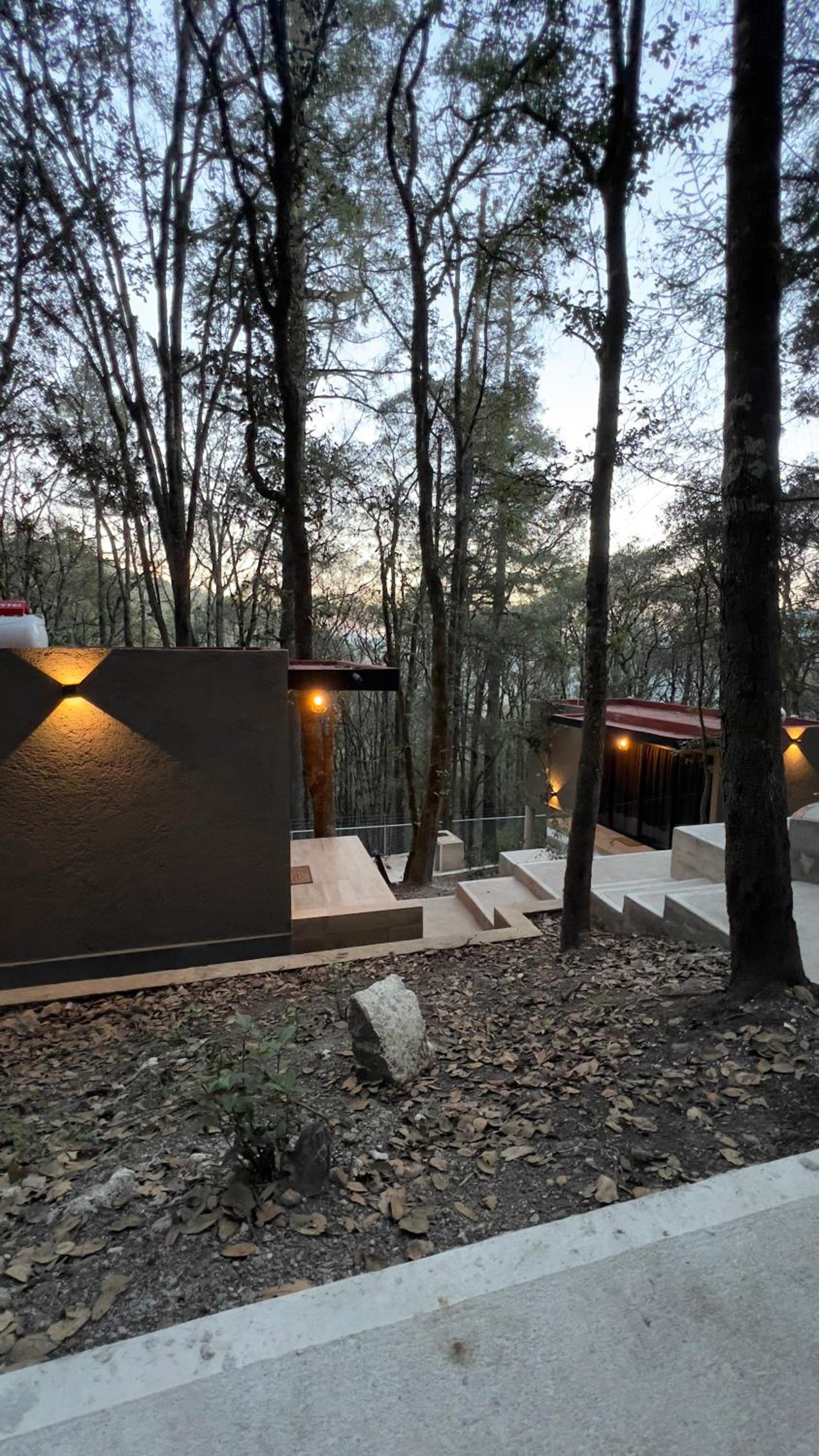 Roots Luxury Cabins