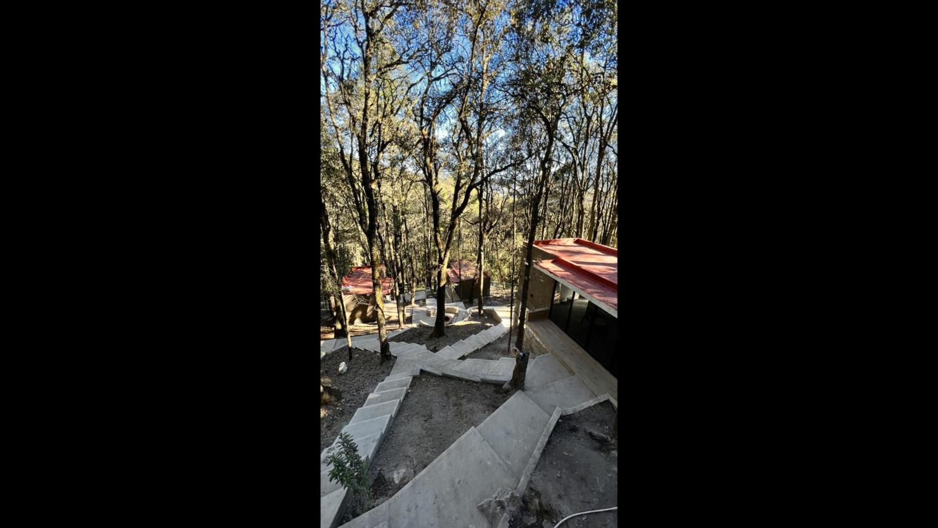Roots Luxury Cabins