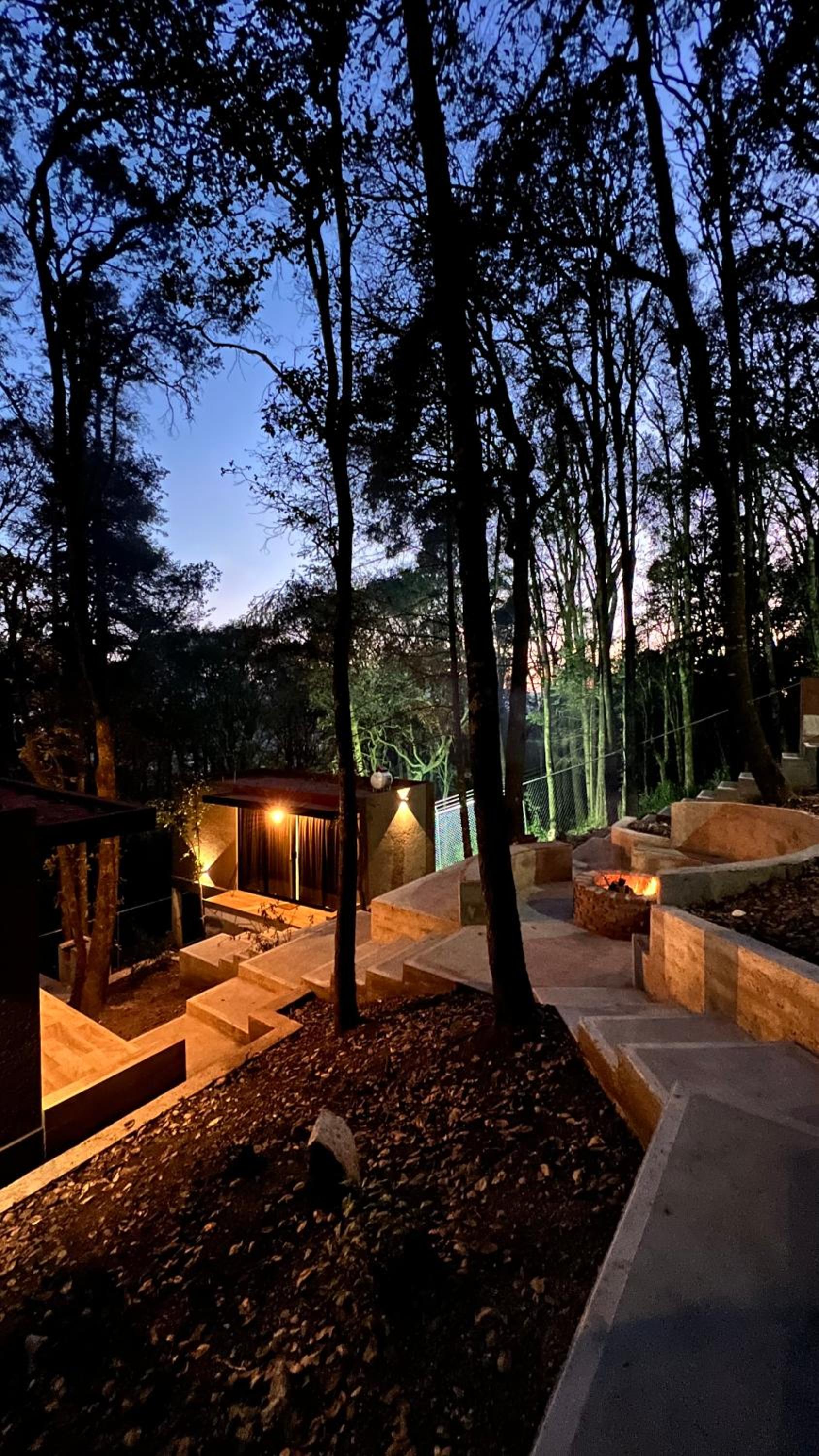 Roots Luxury Cabins