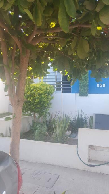 Casa llena de vida y buena vibra con las amenidades necesarias para que pases una estancia de 10! view 4