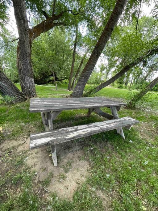Photo 8
