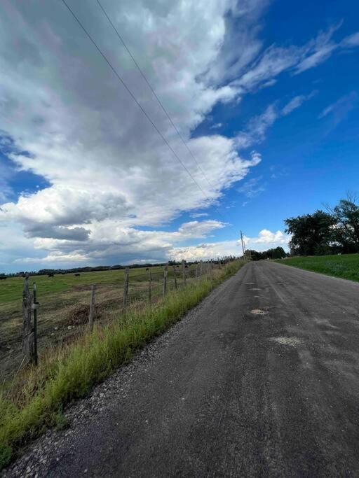 Photo 47