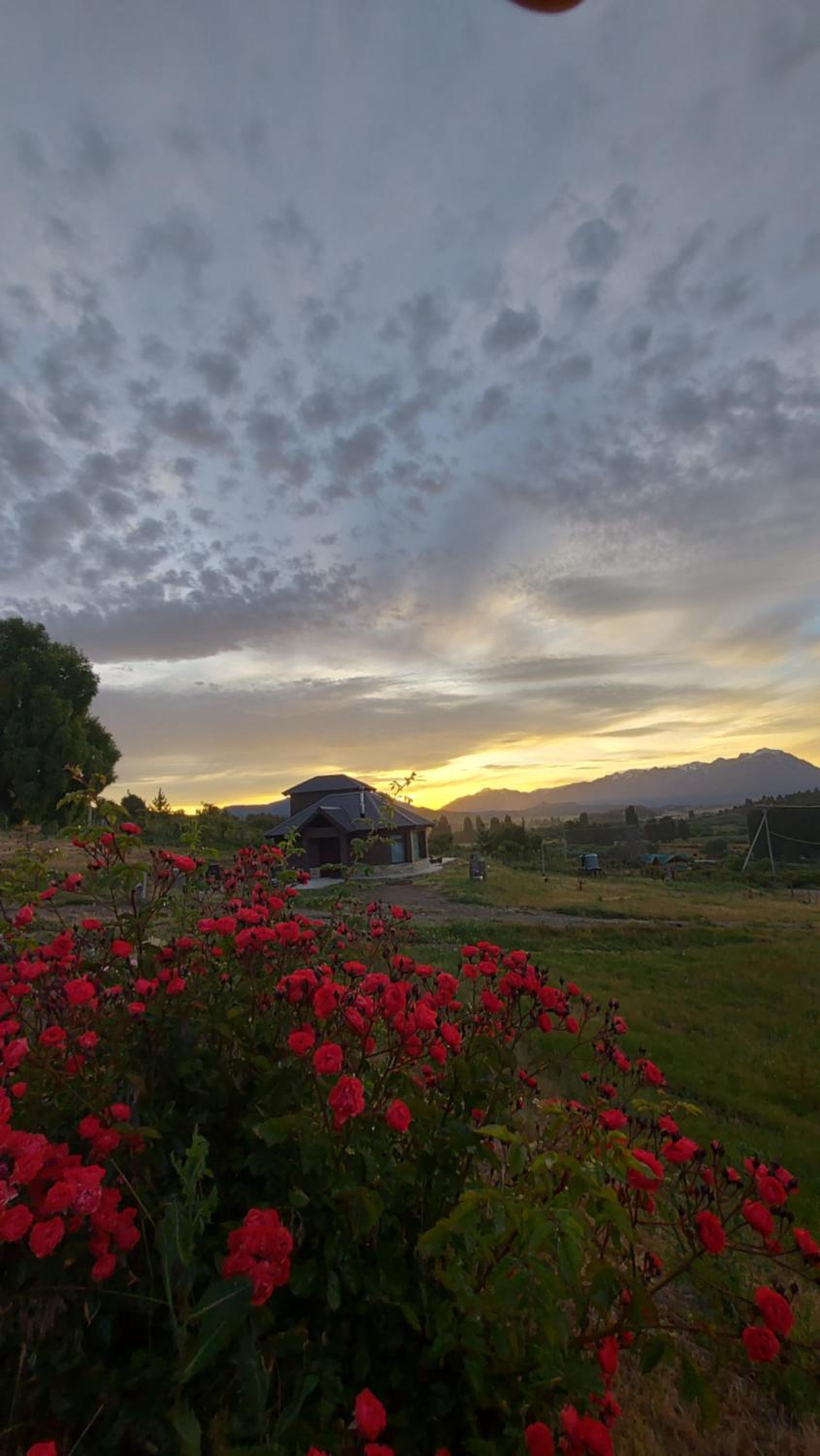 Lares de Yaima Cholila Chubut