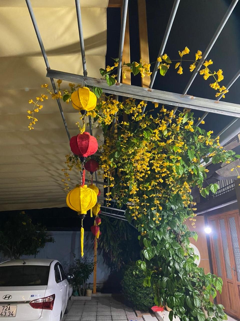 Lightly Homestay