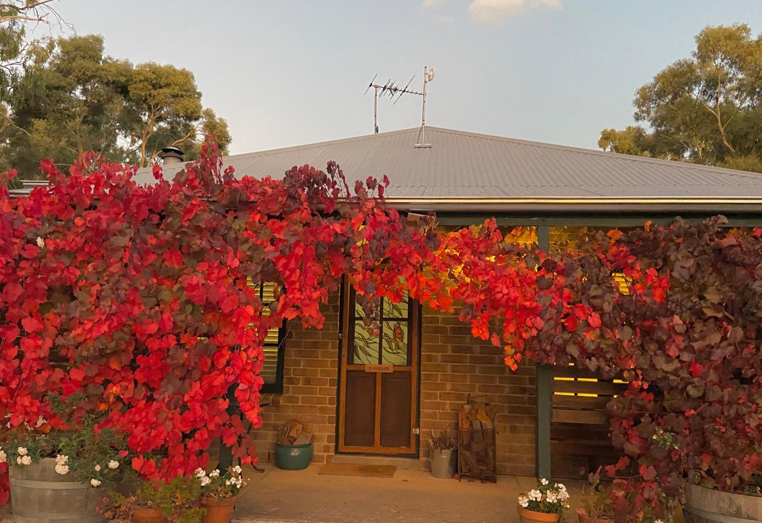 Battunga Cottages