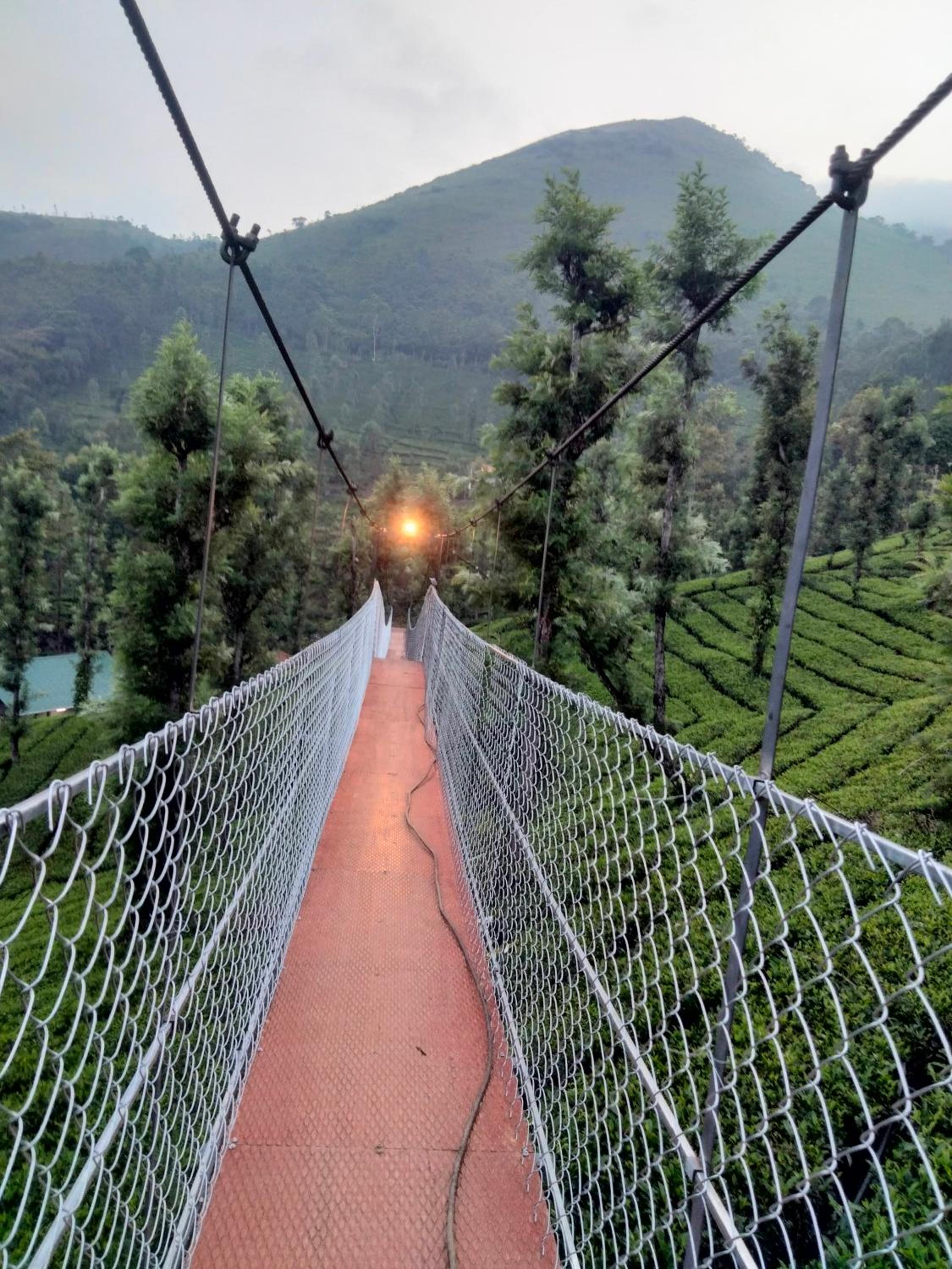 Vythiri Tea valley I Best Hotel In Wayanad l Hotels In Vythiri Wayanad view 5