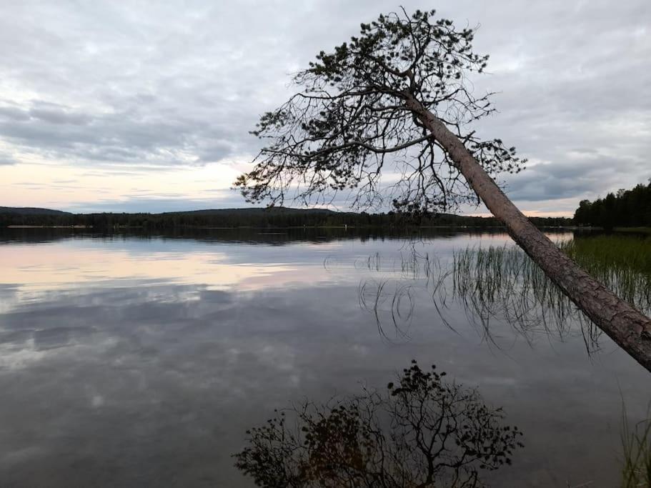 Uusi hirsimökki 7 henkilölle