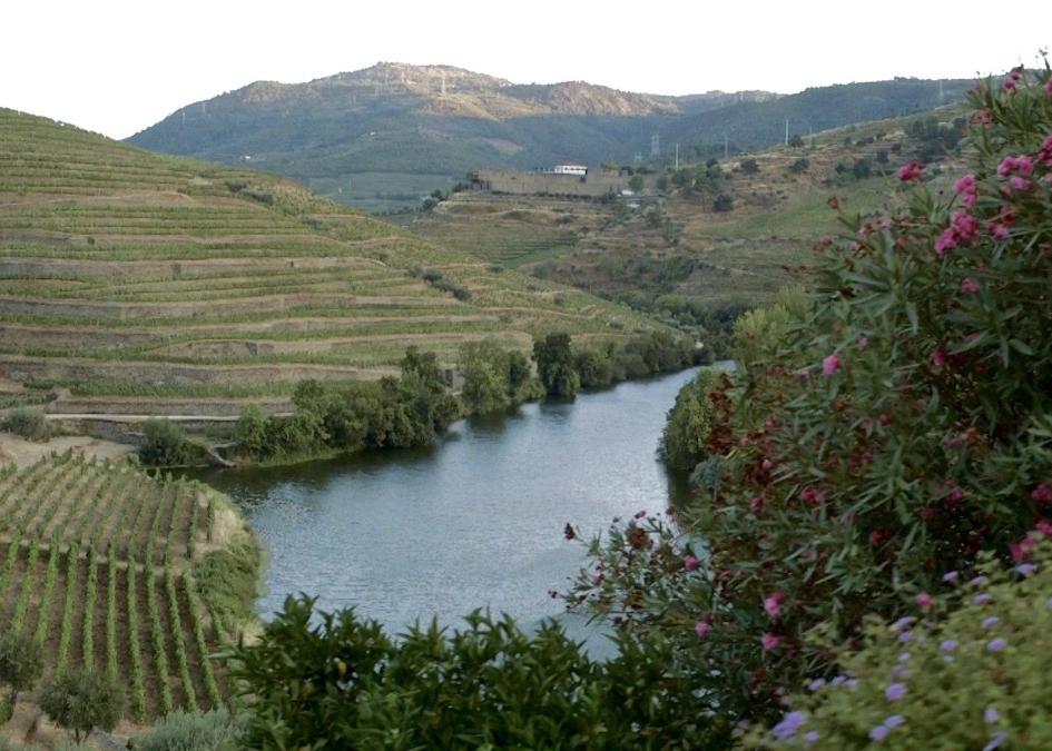 Quinta do Tedo