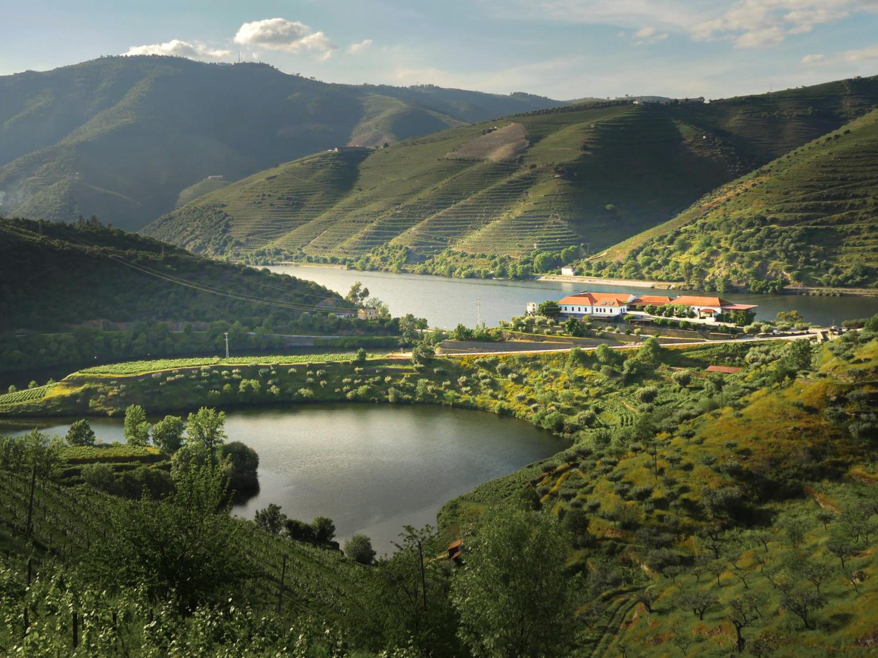 Quinta do Tedo