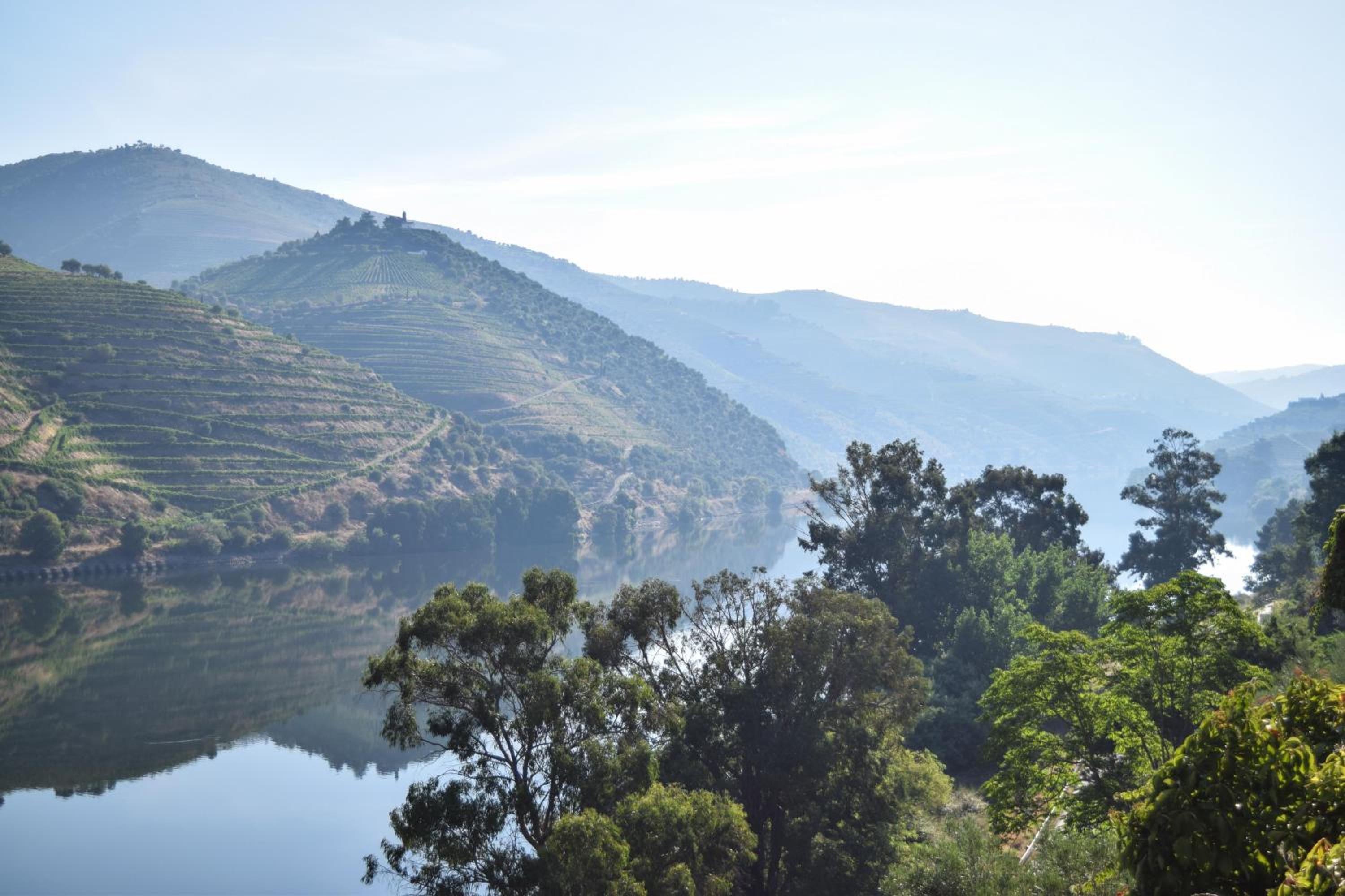 Quinta do Tedo