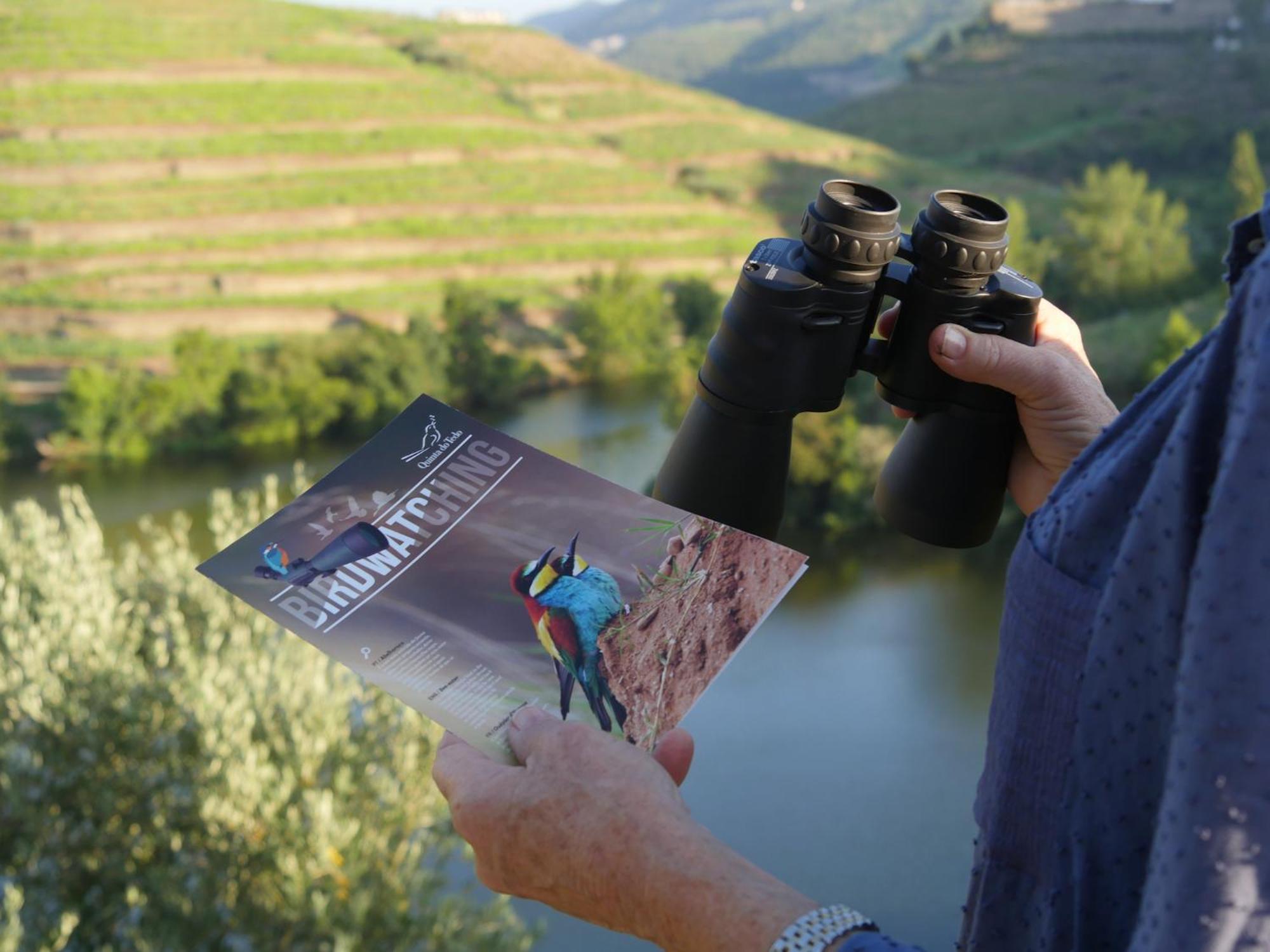 Quinta do Tedo, Bild 40