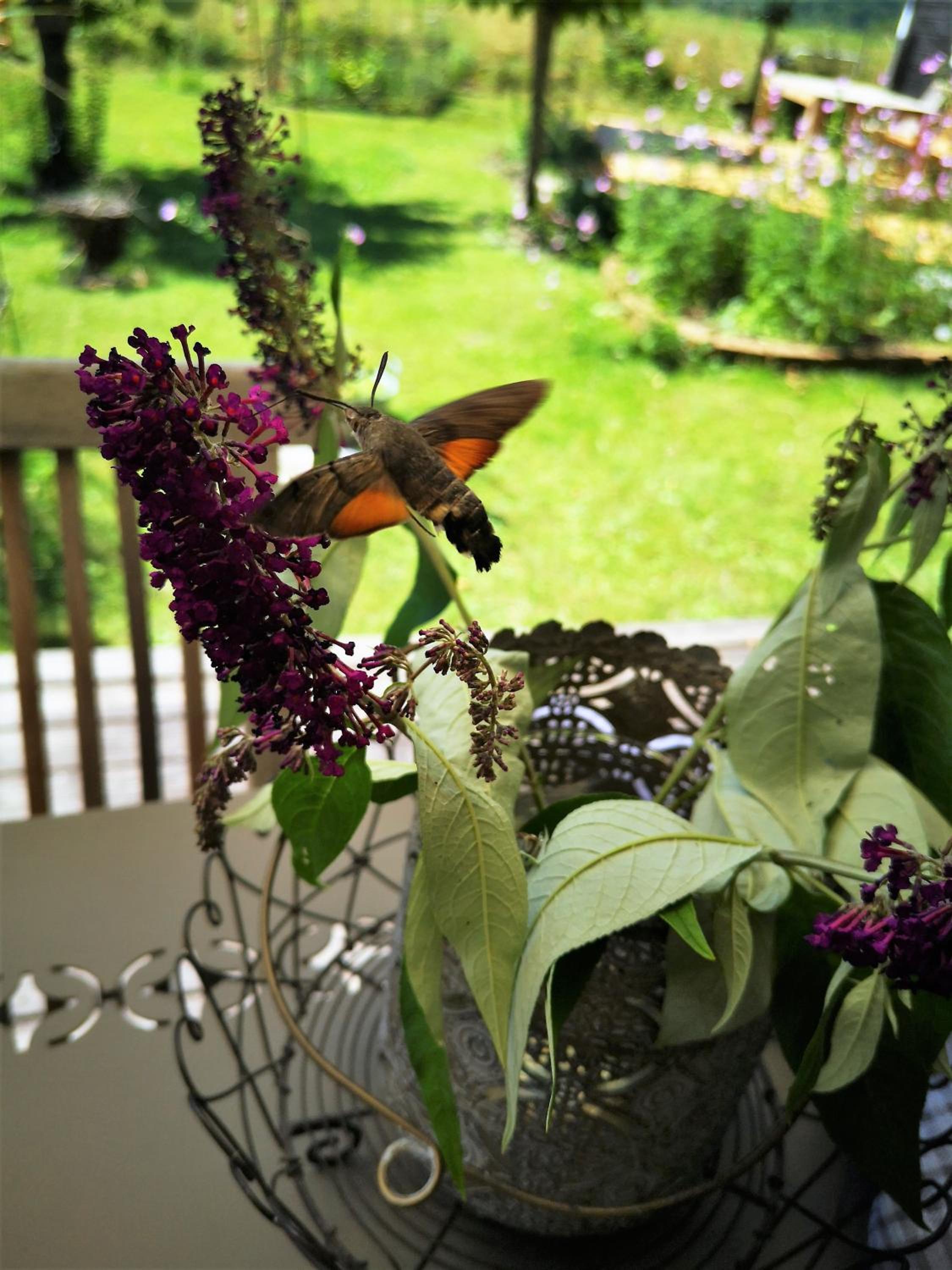 Countryhouse Lake Attersee - Atemberaubende Lage - Bezauberndes Hideaway