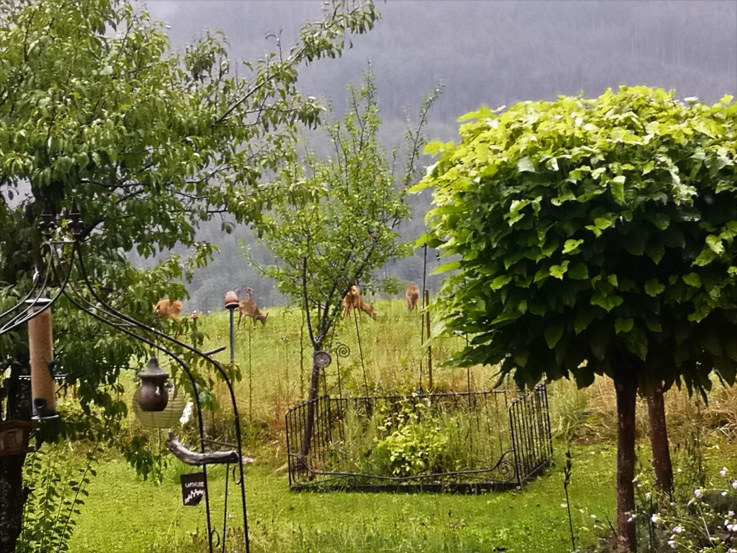 Countryhouse Lake Attersee - Atemberaubende Lage - Bezauberndes Hideaway