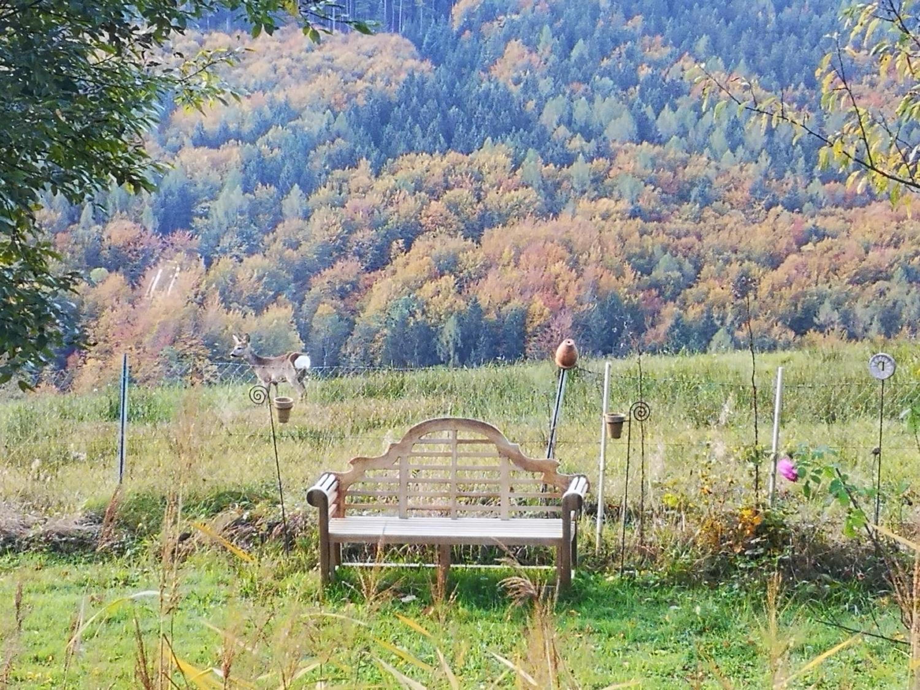 Countryhouse Lake Attersee - Atemberaubende Lage - Bezauberndes Hideaway