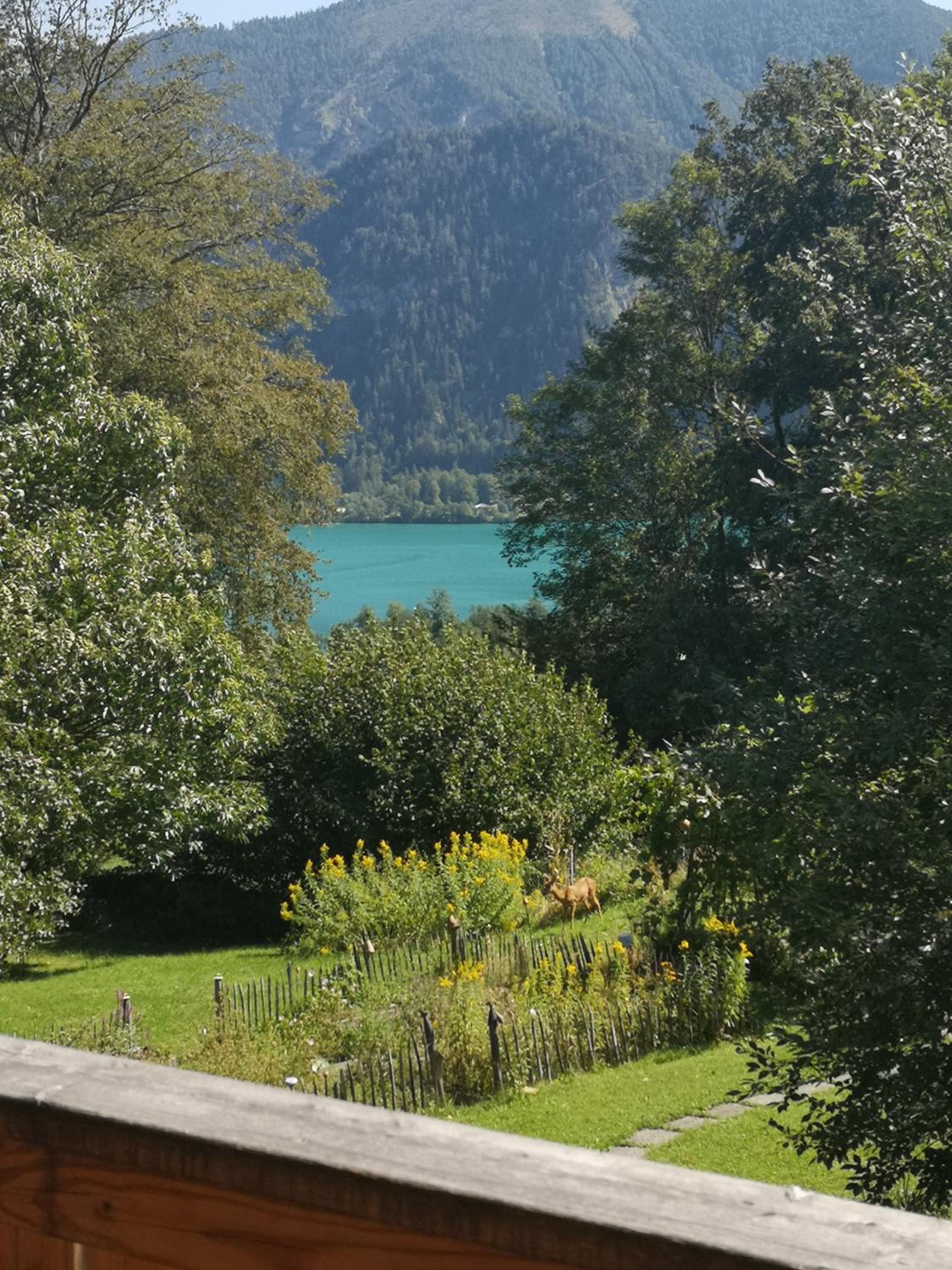 Countryhouse Lake Attersee - Atemberaubende Lage - Bezauberndes Hideaway