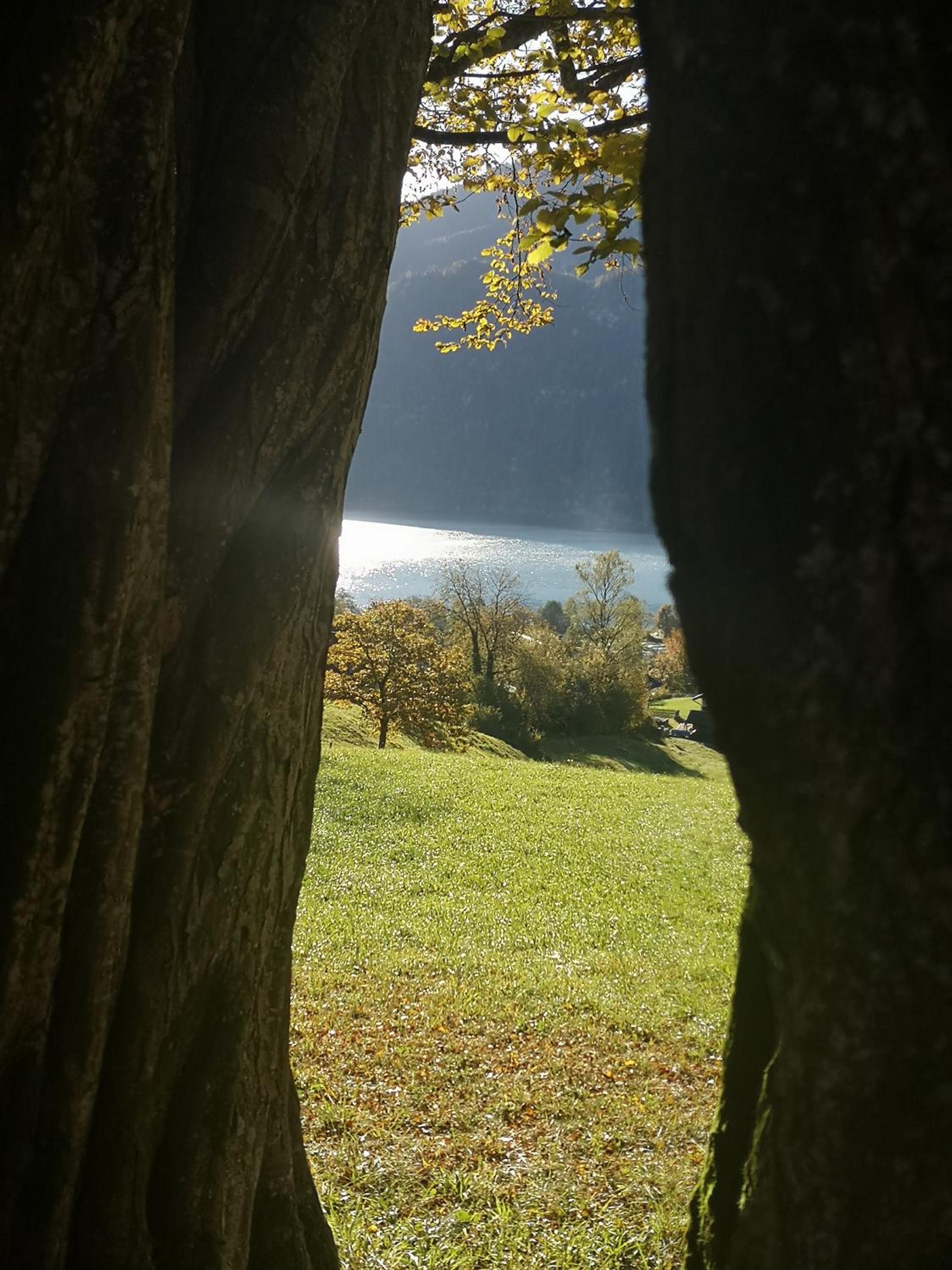 Countryhouse Lake Attersee - Atemberaubende Lage - Bezauberndes Hideaway