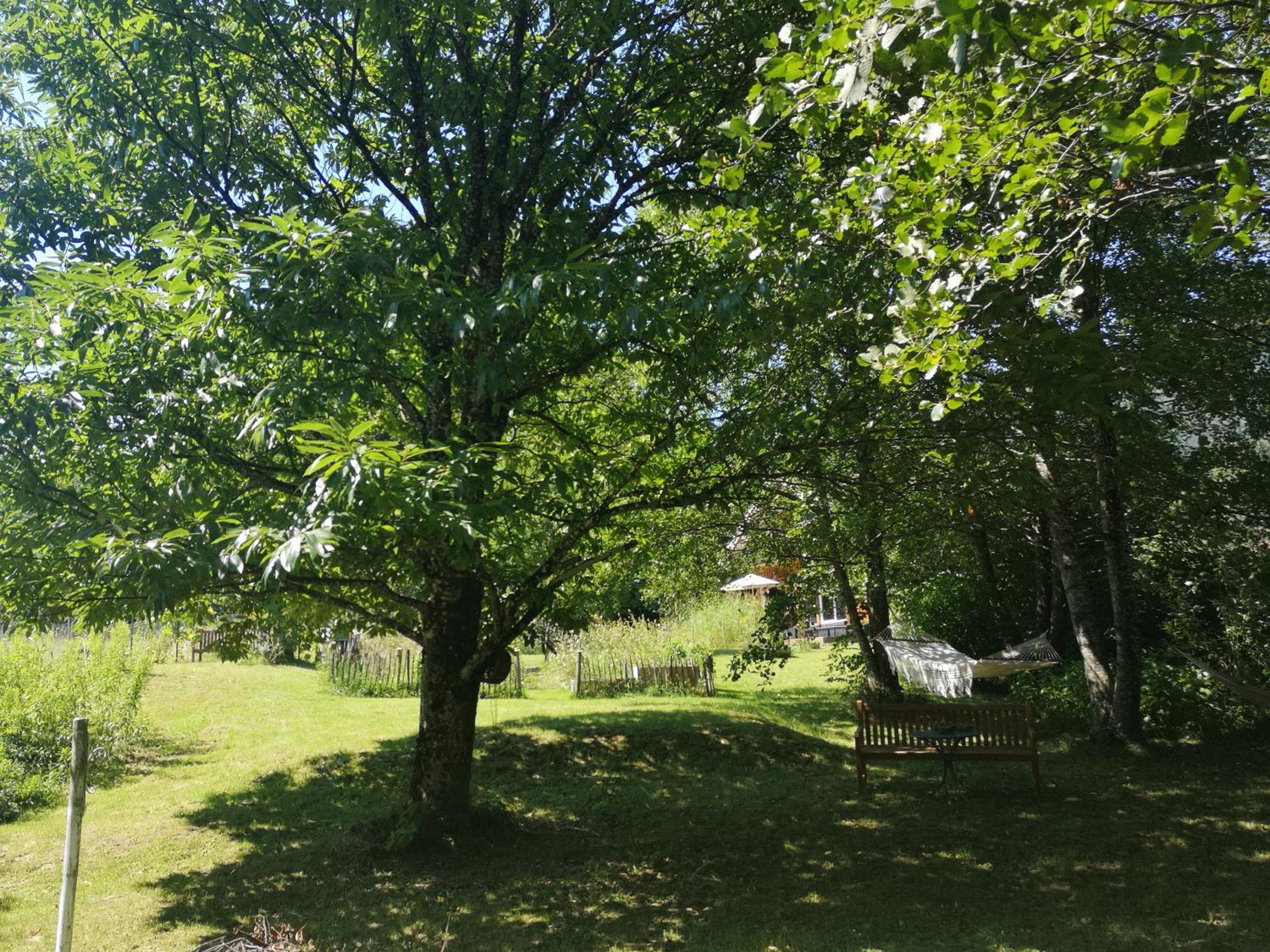 Countryhouse Lake Attersee - Atemberaubende Lage - Bezauberndes Hideaway