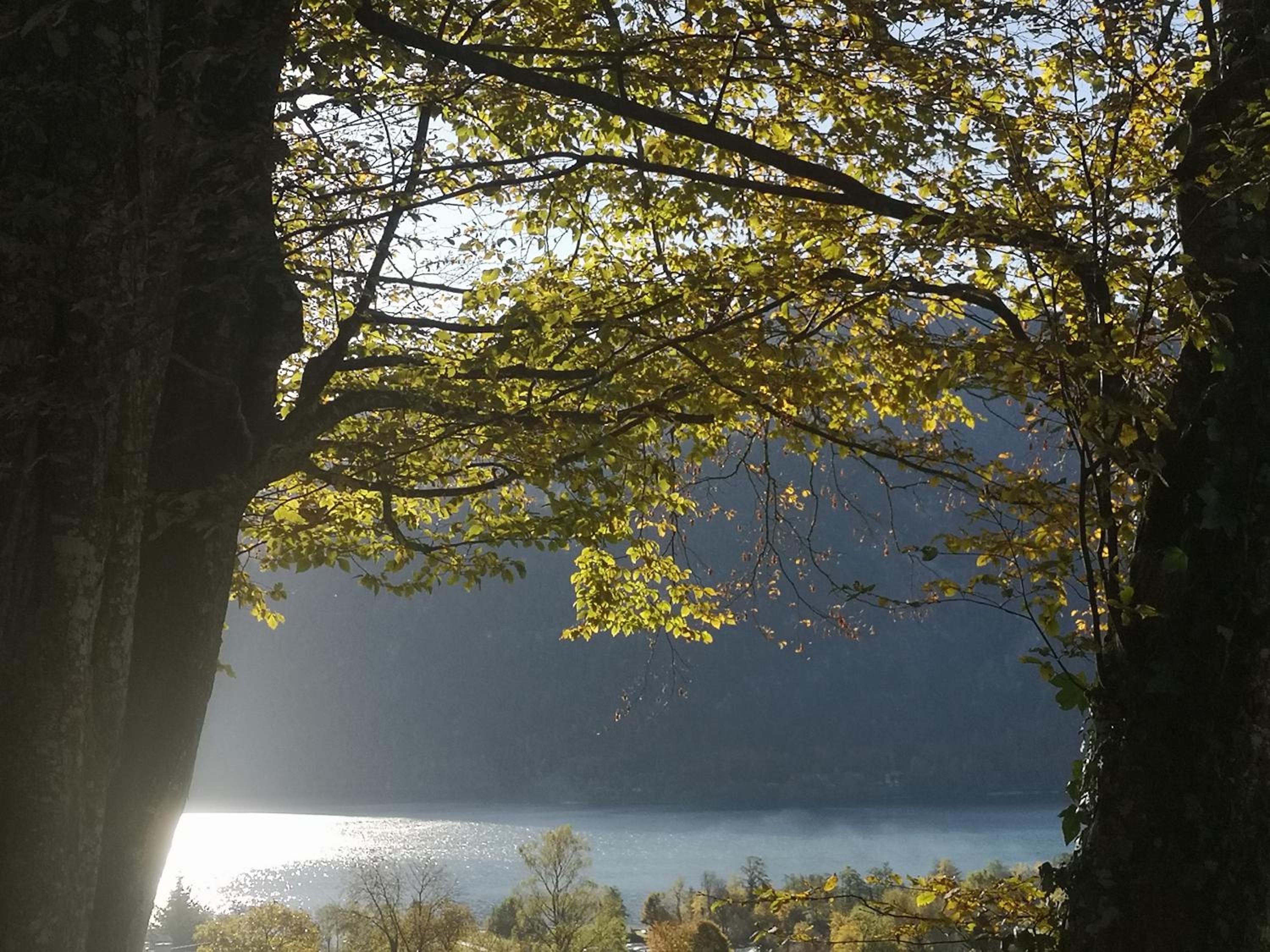 Countryhouse Lake Attersee - Atemberaubende Lage - Bezauberndes Hideaway