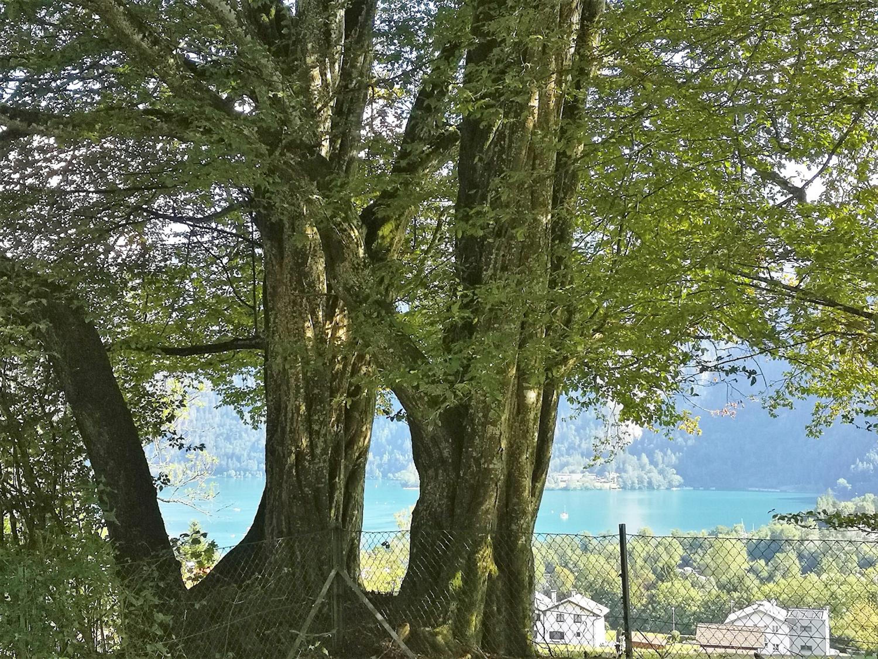 Countryhouse Lake Attersee - Atemberaubende Lage - Bezauberndes Hideaway