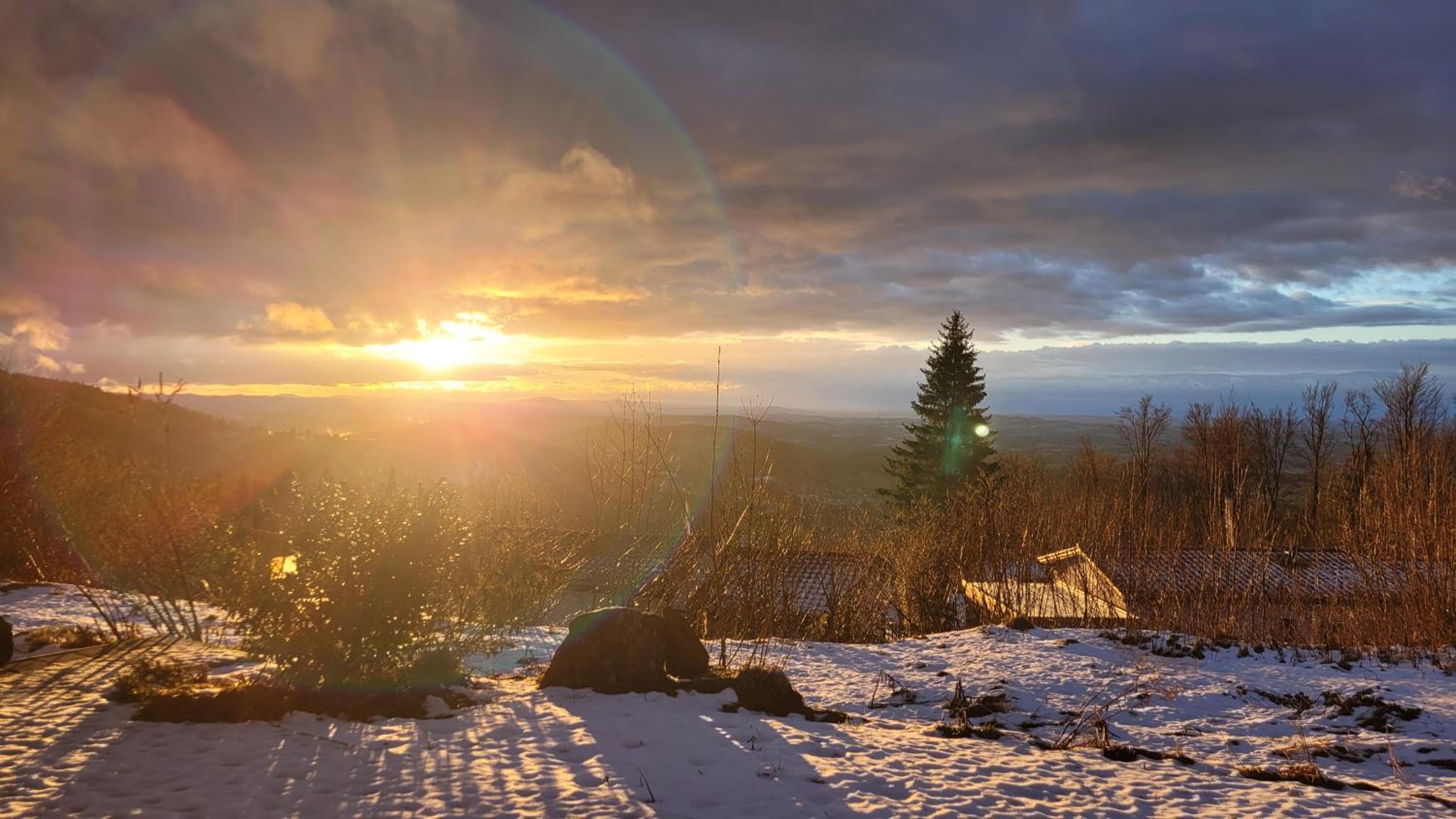 Ferienbungalow Sonnenwald Bayerischer Wald view 4