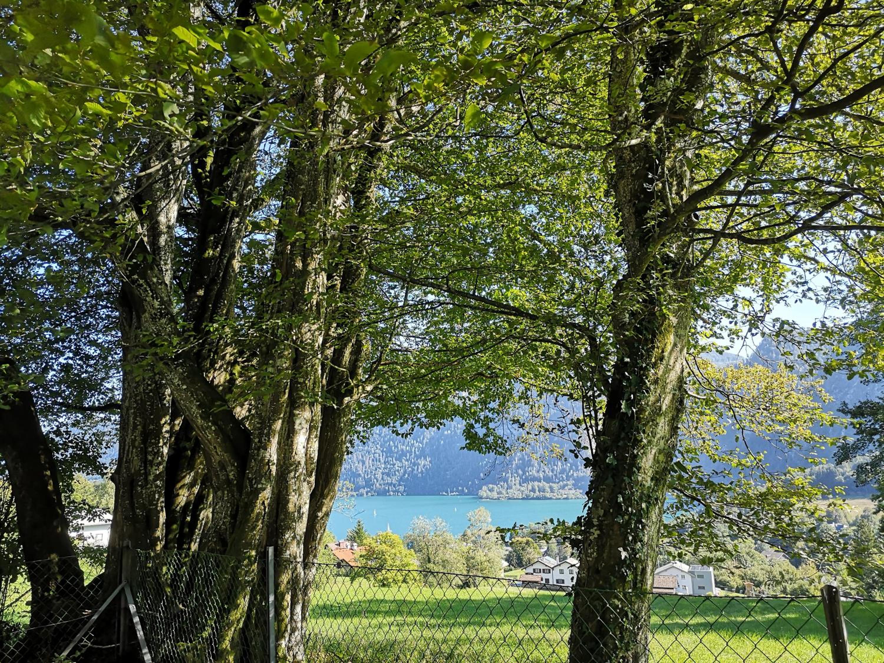 Countryhouse Lake Attersee - Atemberaubende Lage - Bezauberndes Hideaway