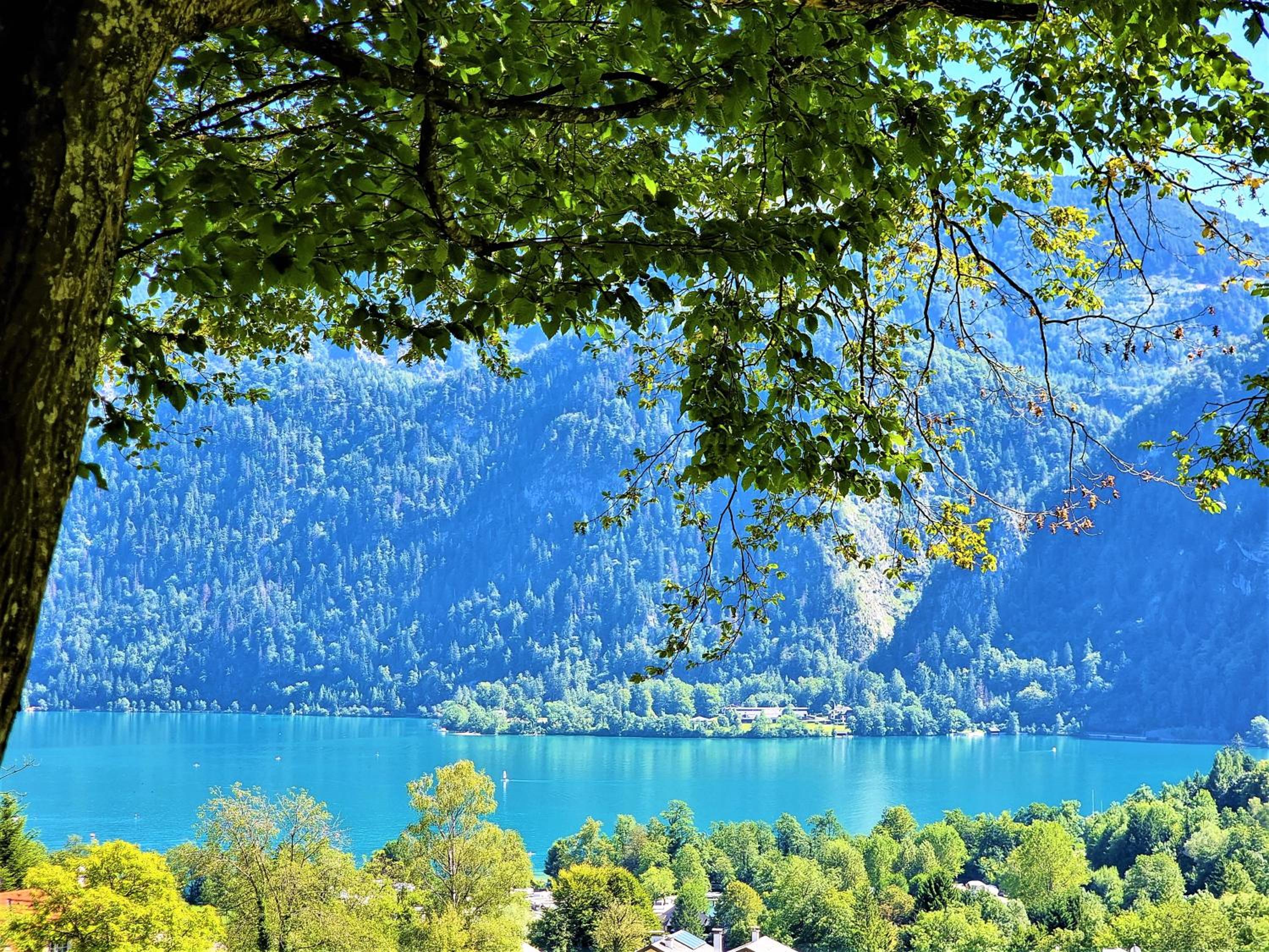 Countryhouse Lake Attersee - Atemberaubende Lage - Bezauberndes Hideaway