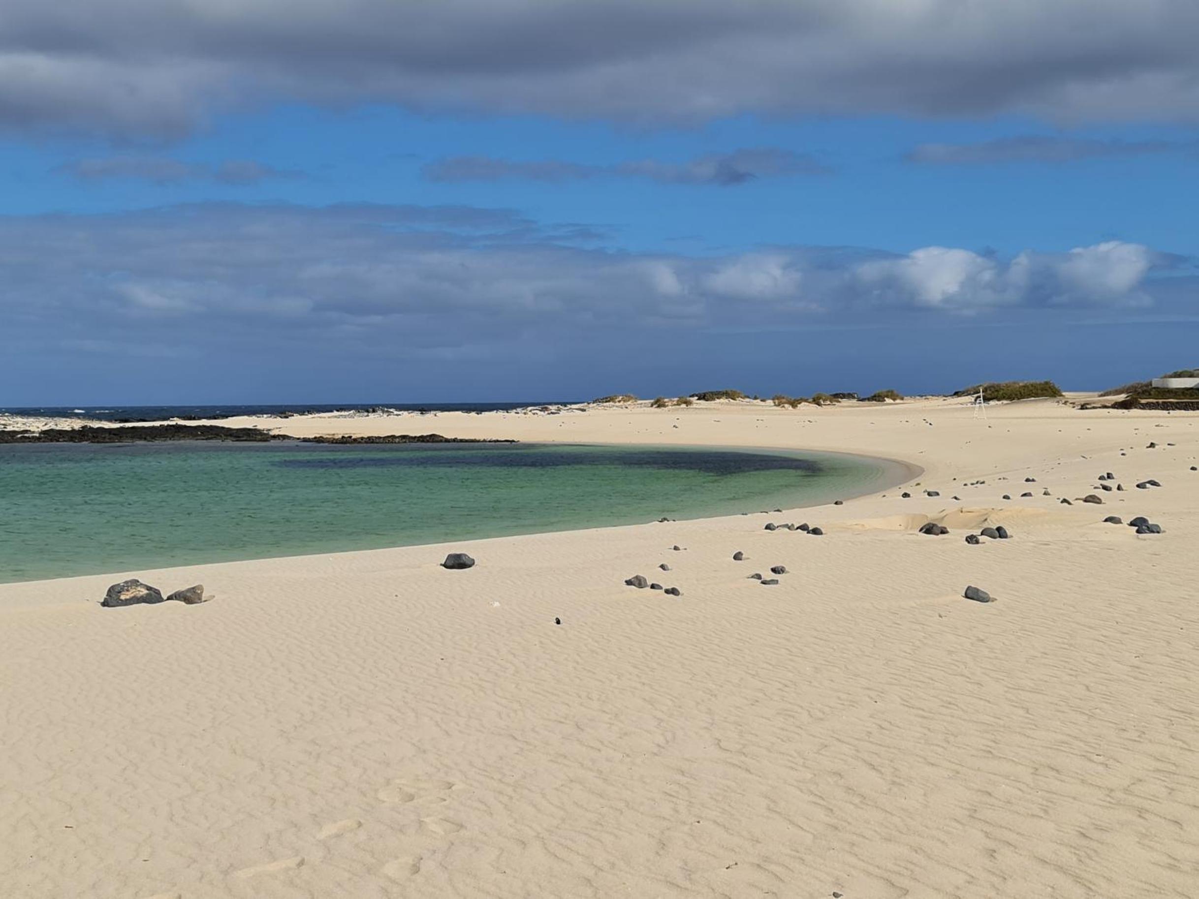 Cotillo Star by NicoleT