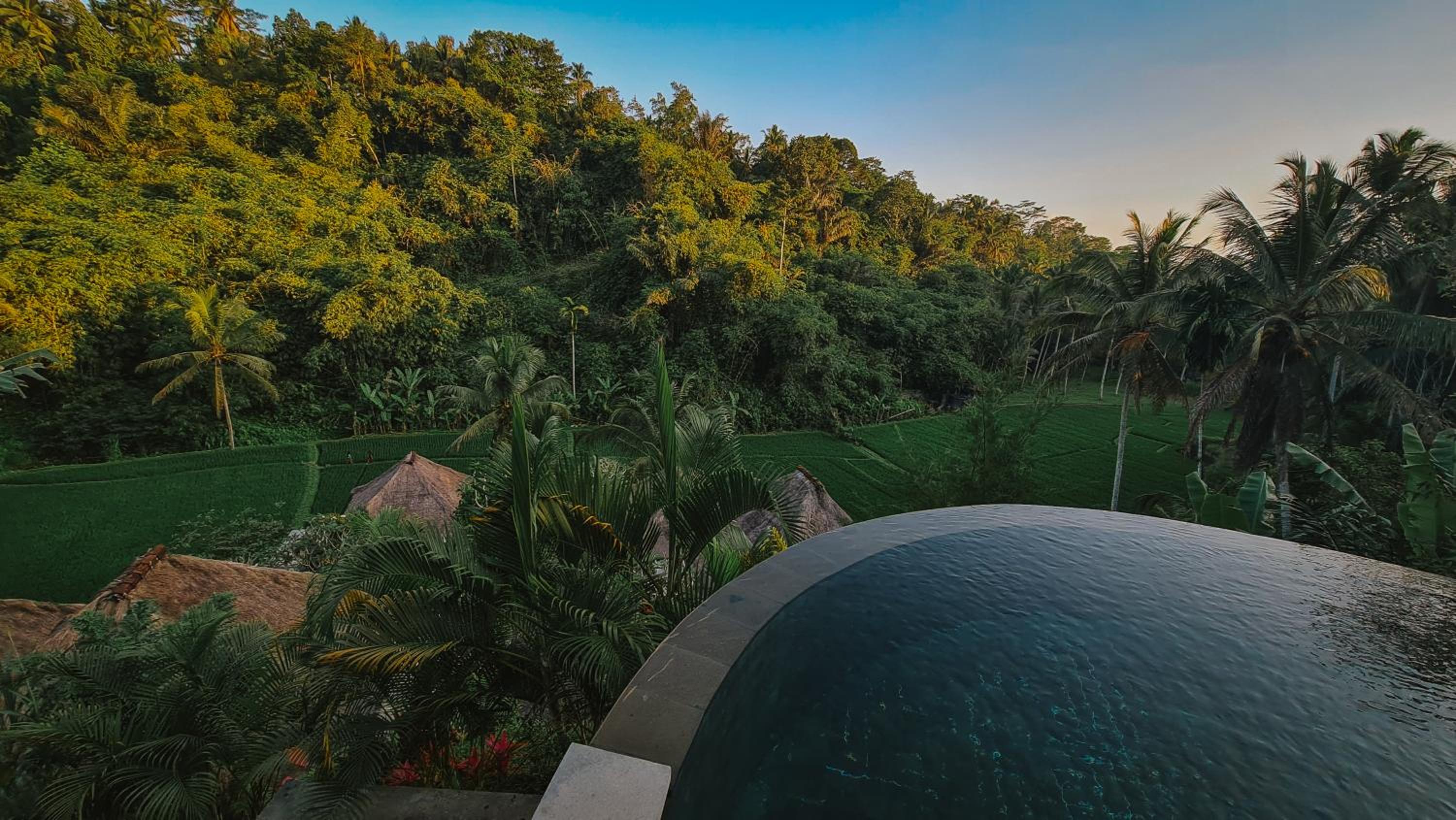 The Tirta Sari Villas view 4
