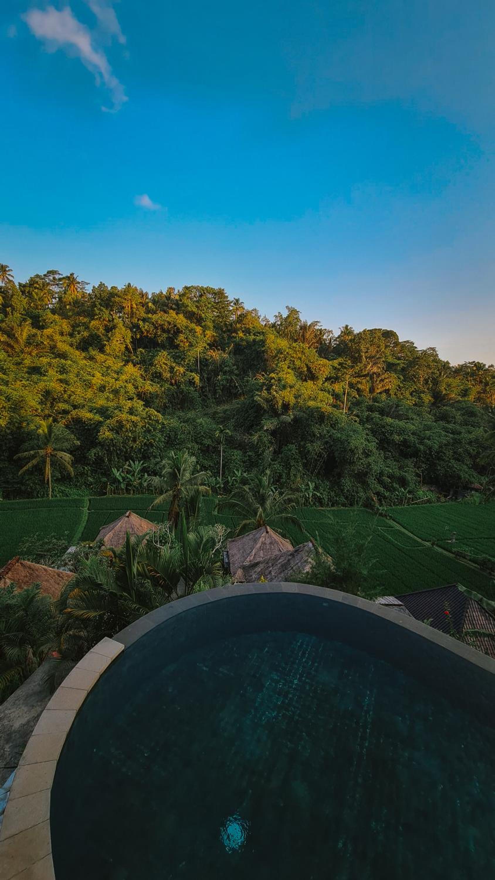 The Tirta Sari Villas view 3