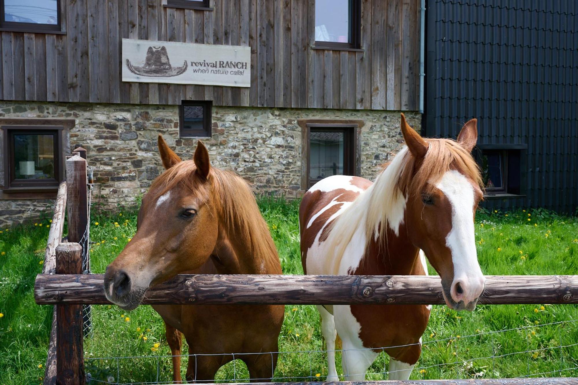 Revival Ranch Ferienwohnung