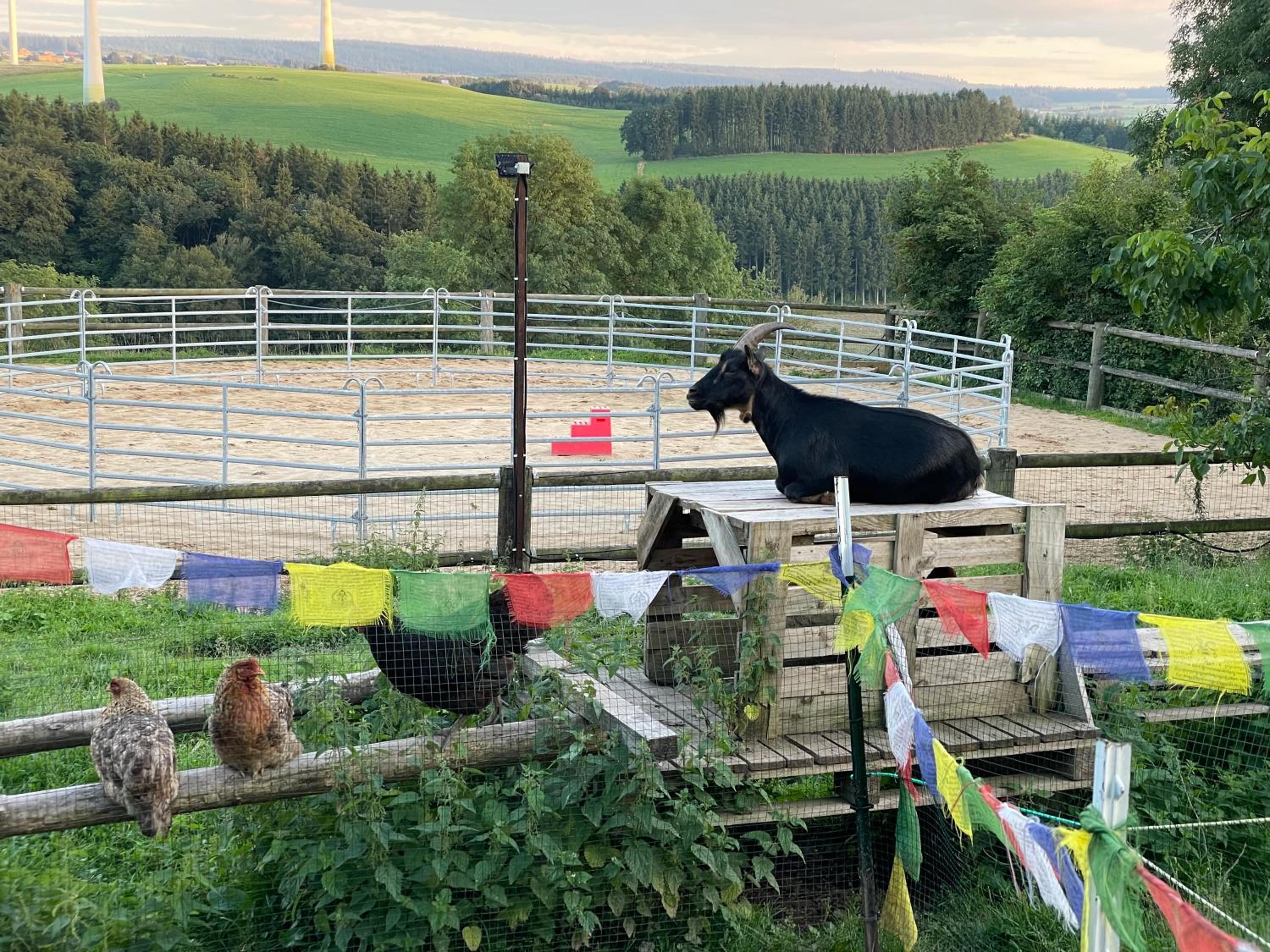 Revival Ranch Ferienwohnung