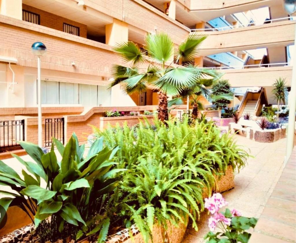 APARTAMENTO EN MAGIC WORD Oropesa del Mar view 4