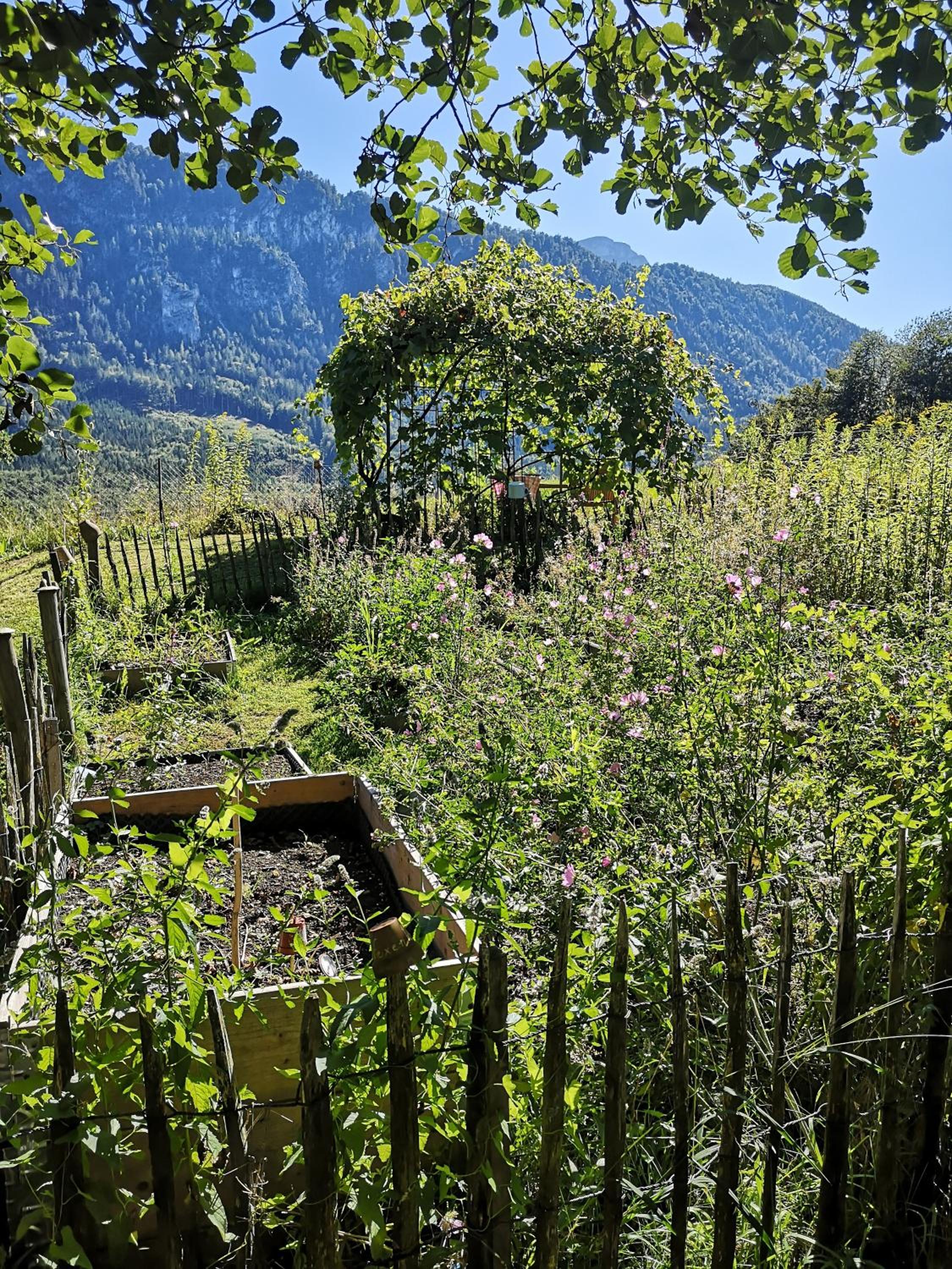 Countryhouse Lake Attersee - Atemberaubende Lage - Bezauberndes Hideaway