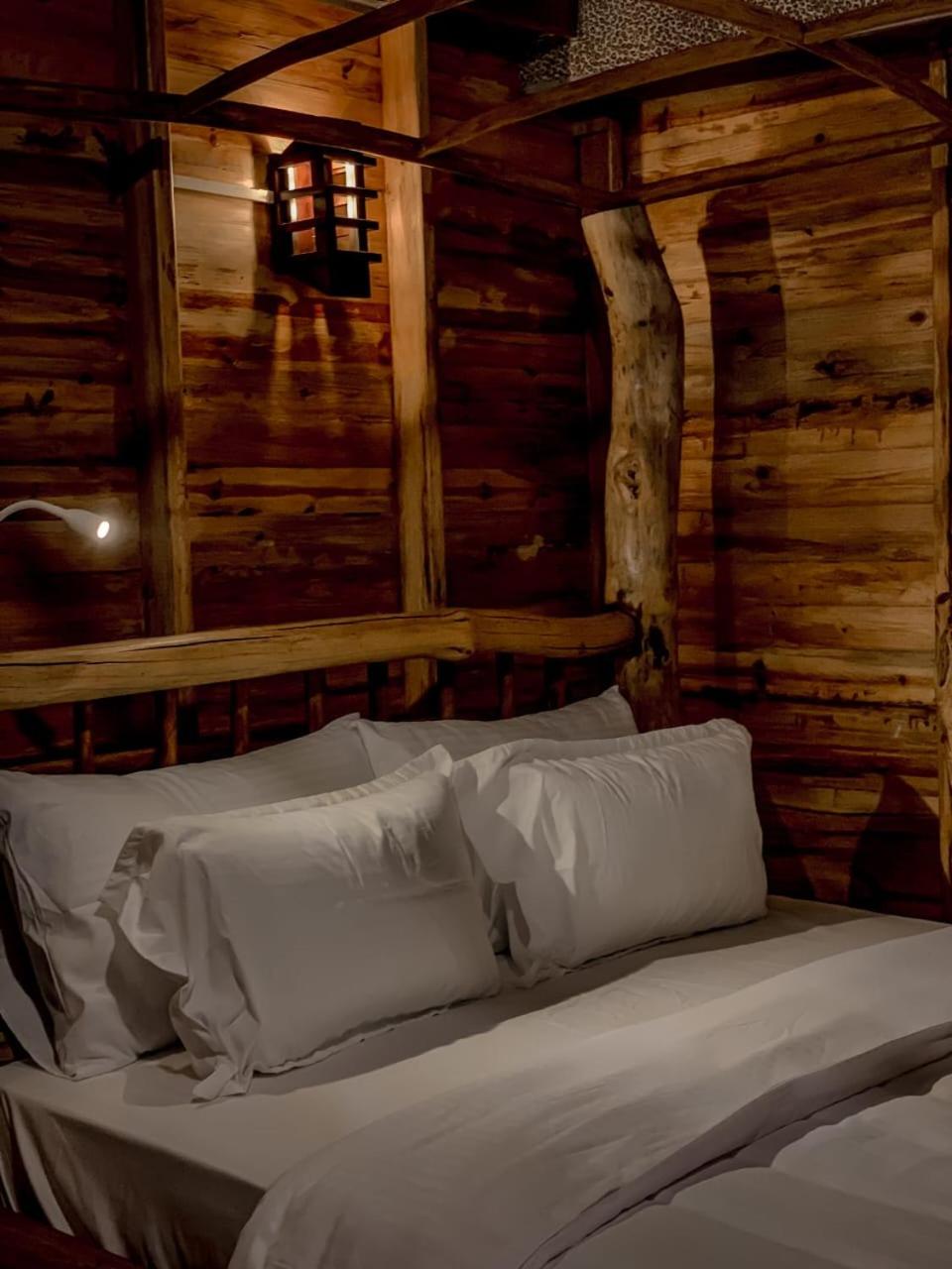 LAMIACEAE WOOD CABIN