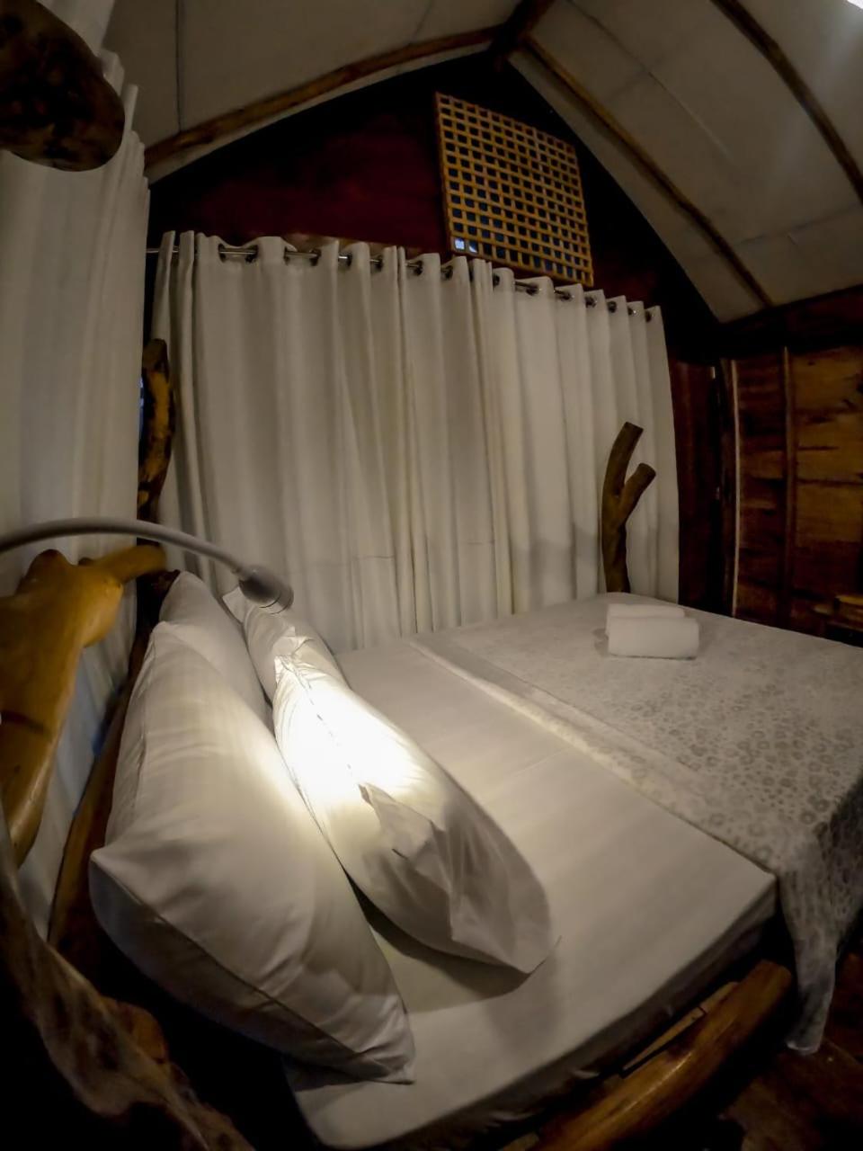 LAMIACEAE WOOD CABIN
