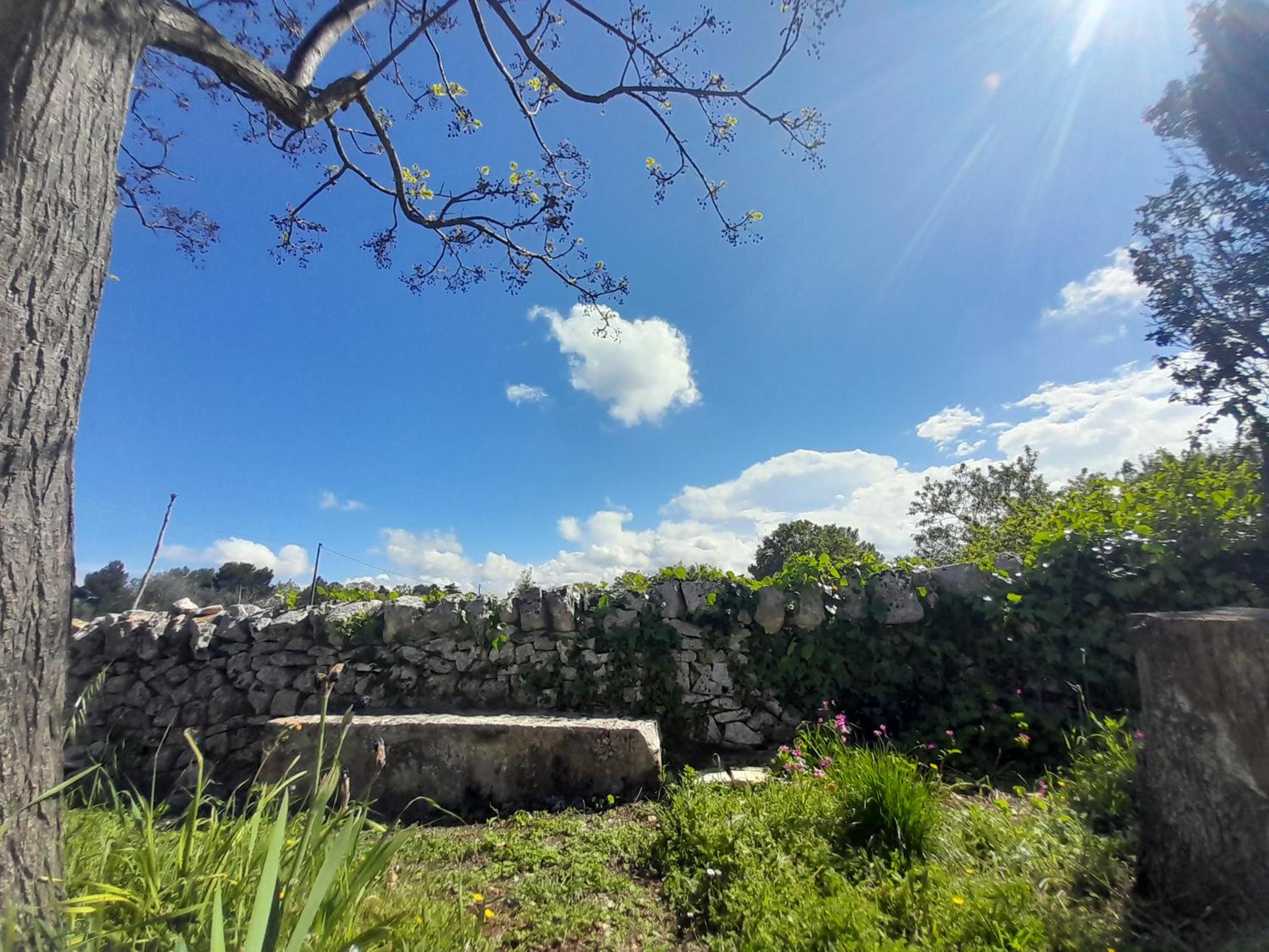 Trullo Il Giglio view 4