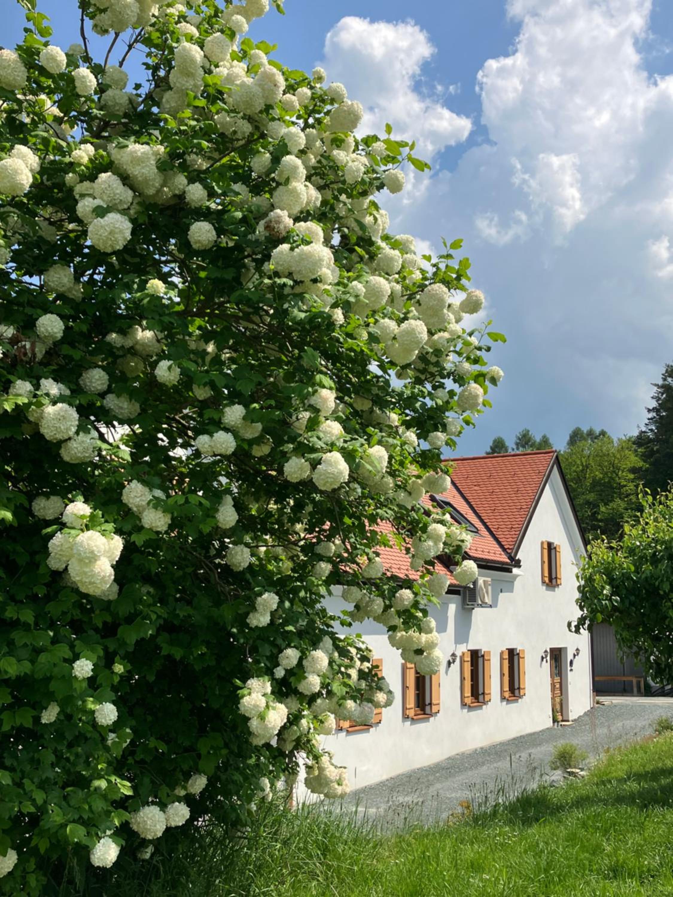 Der Hof am Wald