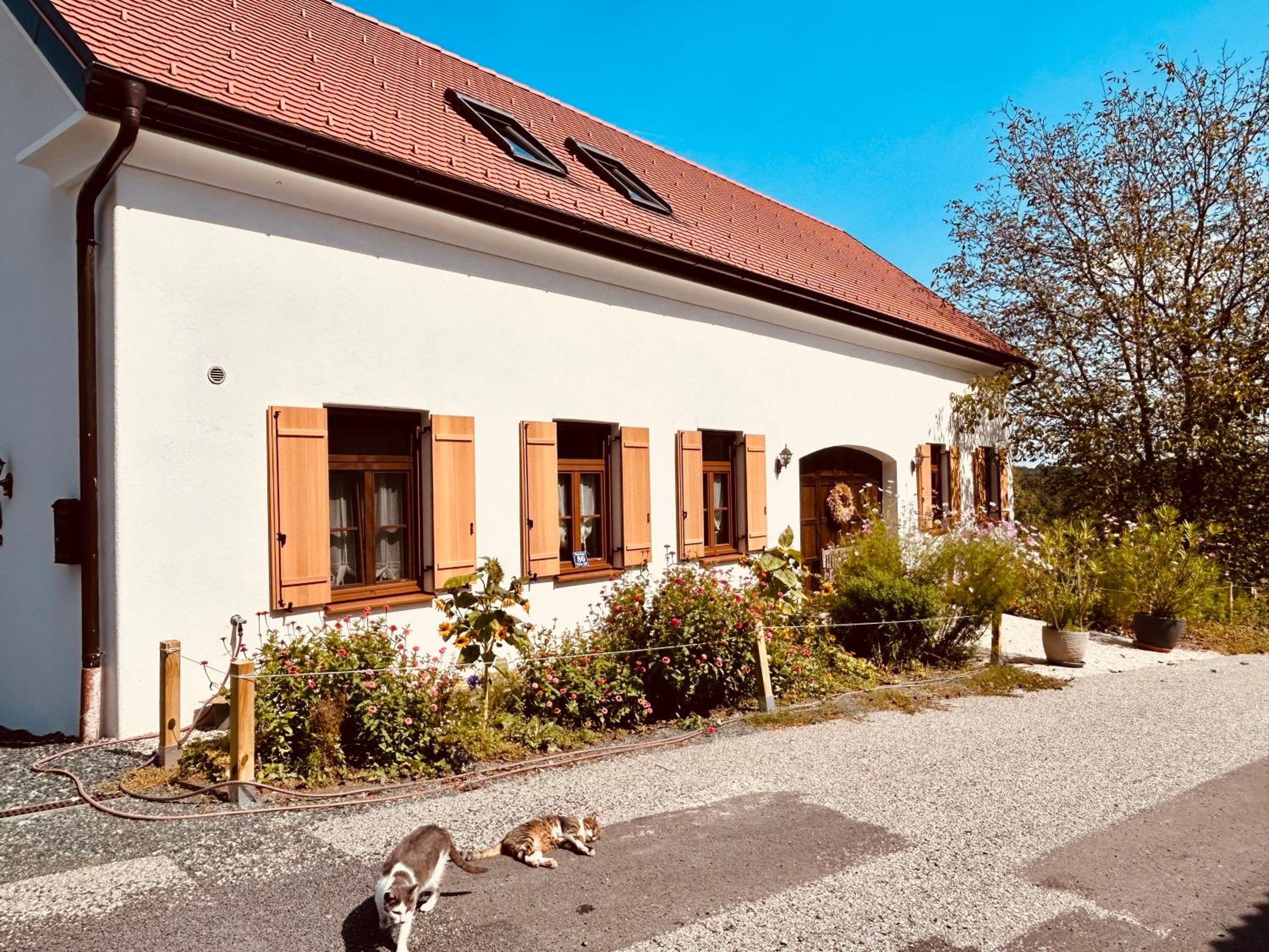 Der Hof am Wald