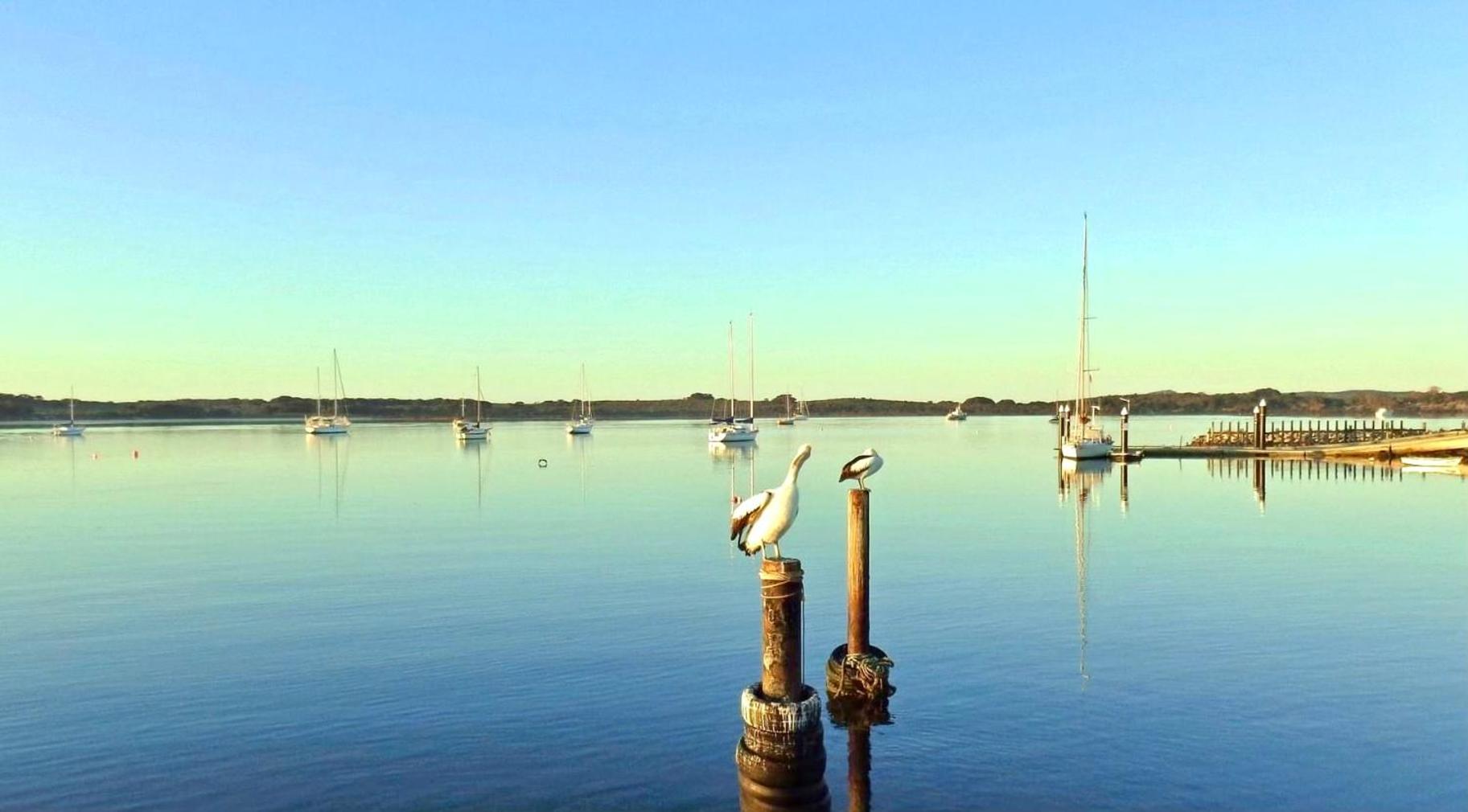 Cooinda Holiday Village Cabins