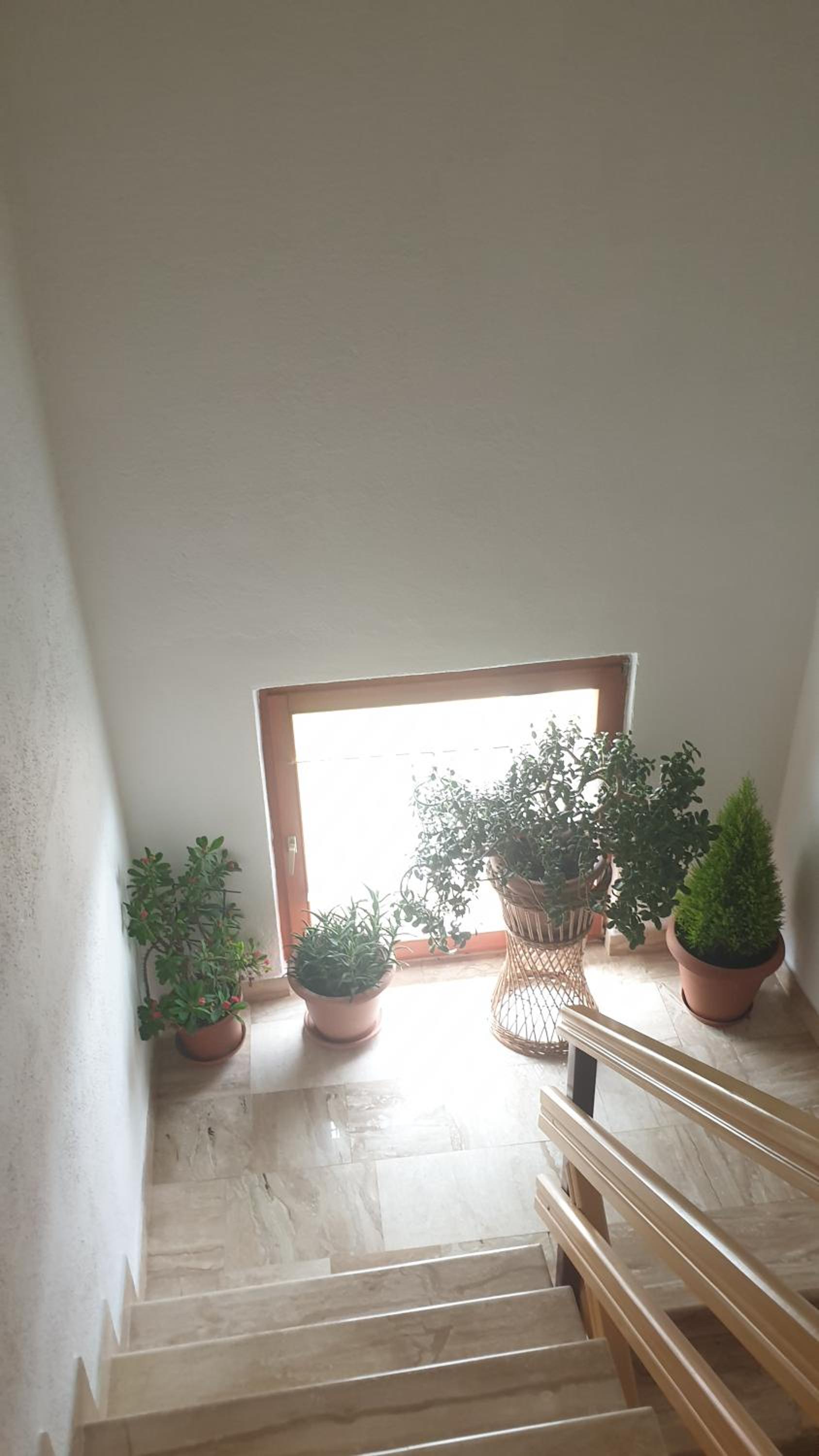 Apartman Darko