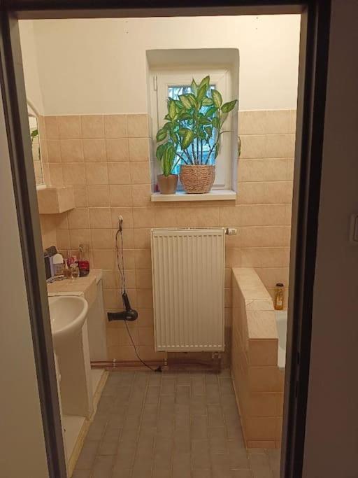 Lovely room and free parking
