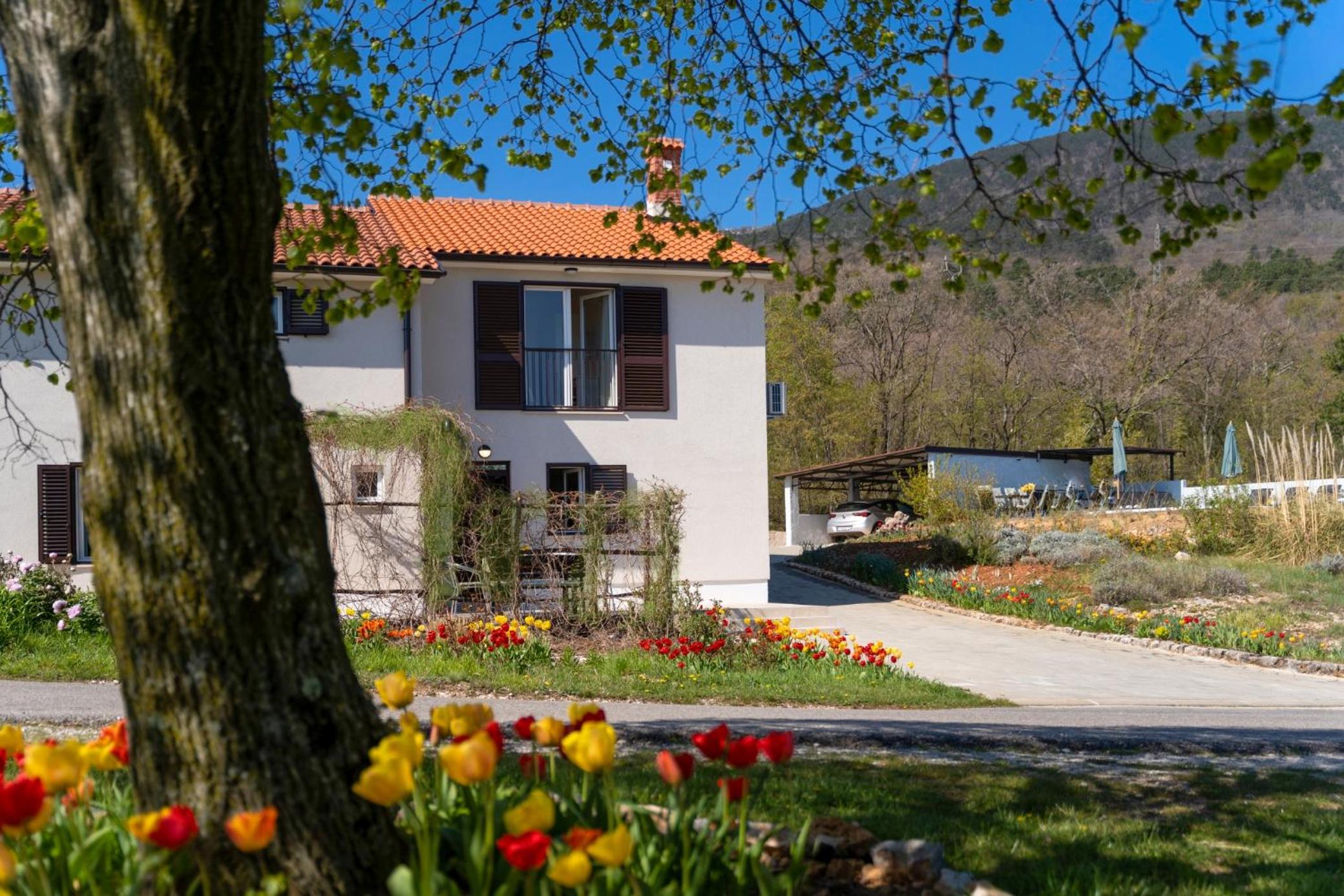 Villa Tulipa by Briskva view 4