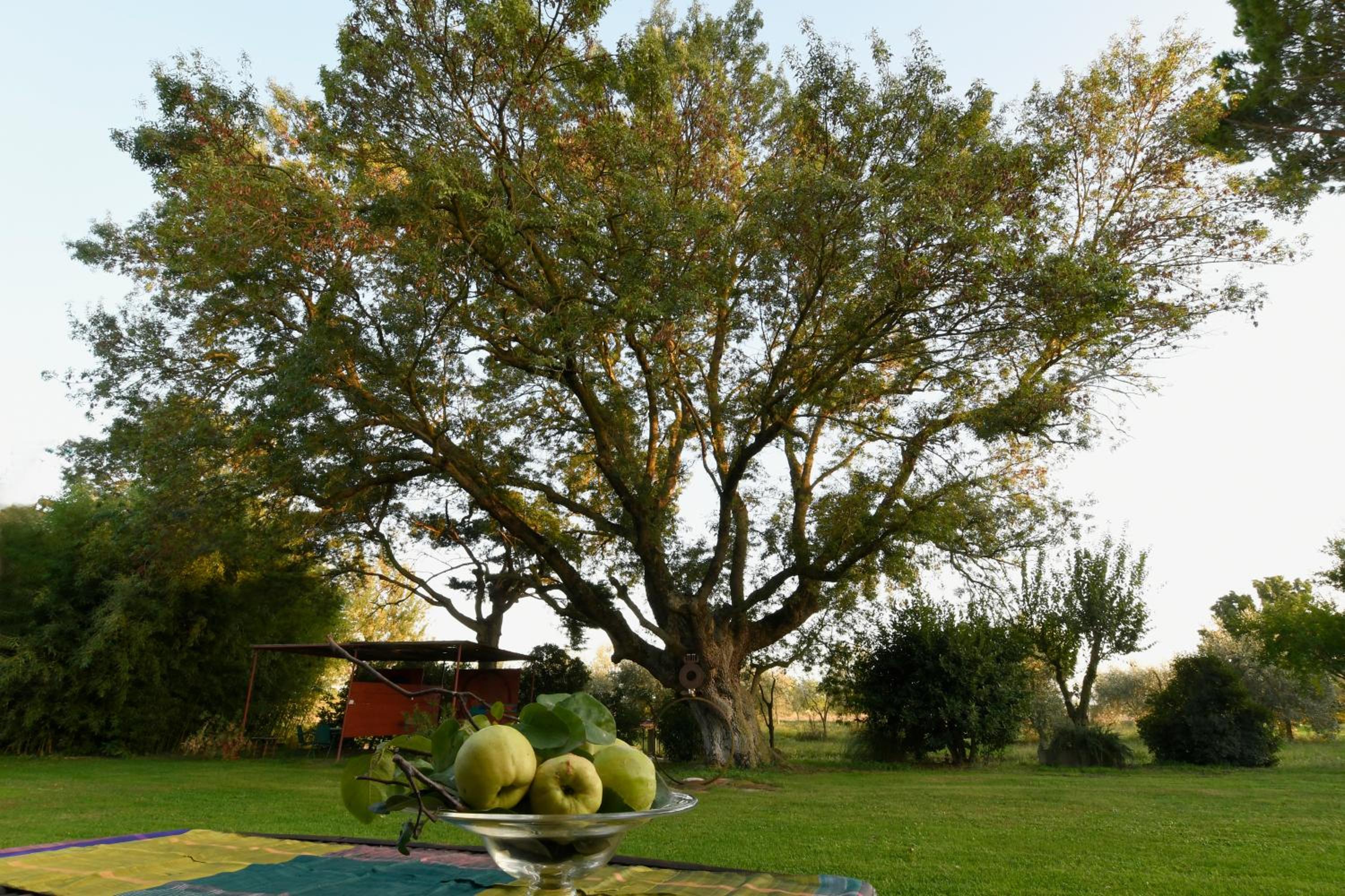 Photo 31