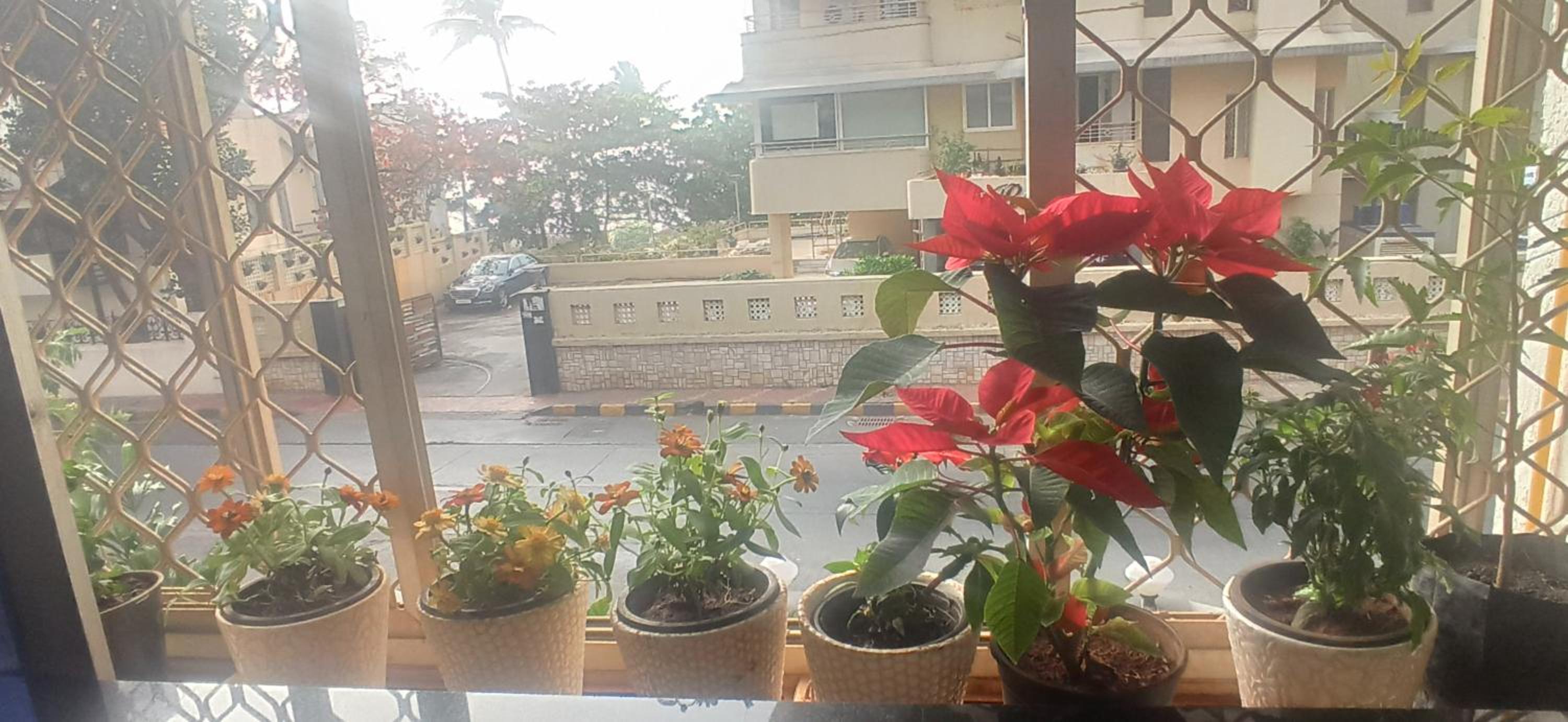 SEAVIEW Room Bandra W Nr Taj Indian WOMEN ONLY photo 5