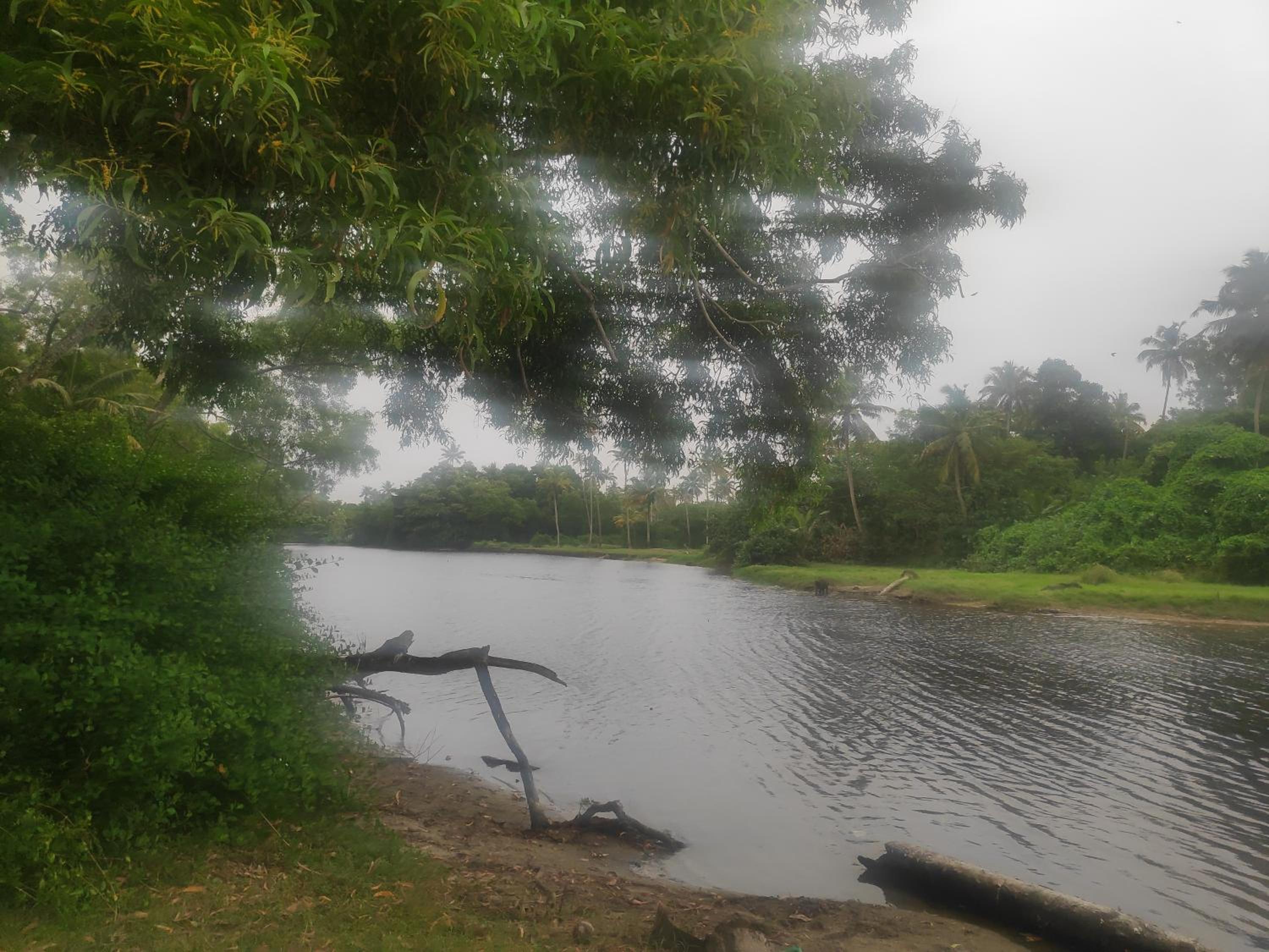 Marari Oceanscape
